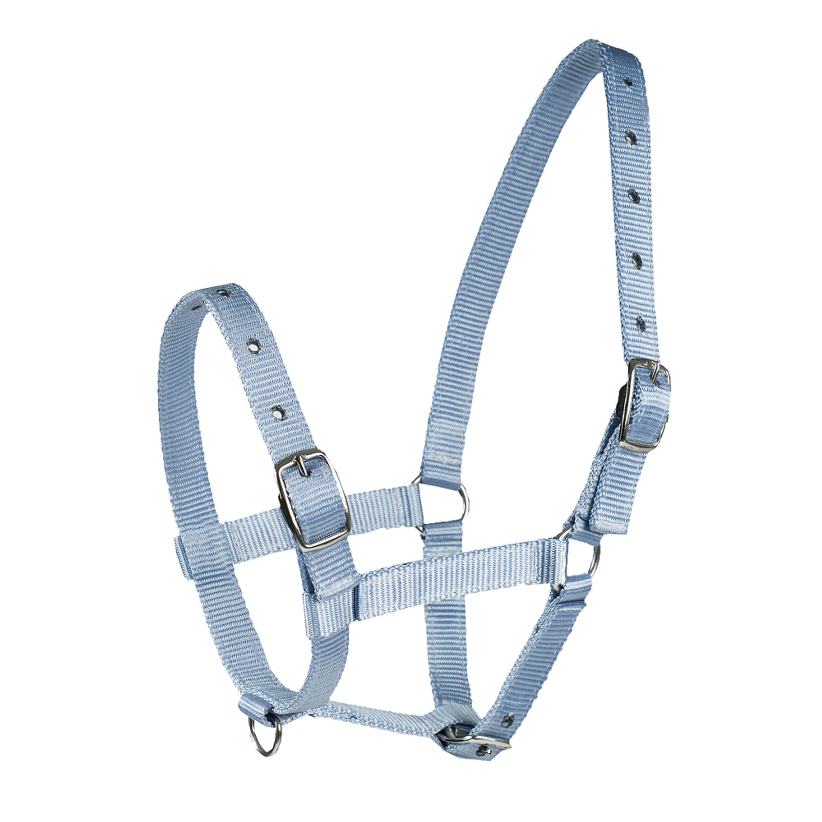 Horze fölgrimma Grimma & grimskaft