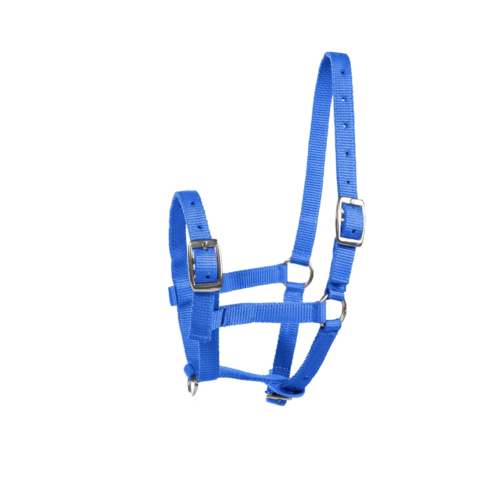 Horze Foal Halter fölgrimma Grimma & grimskaft