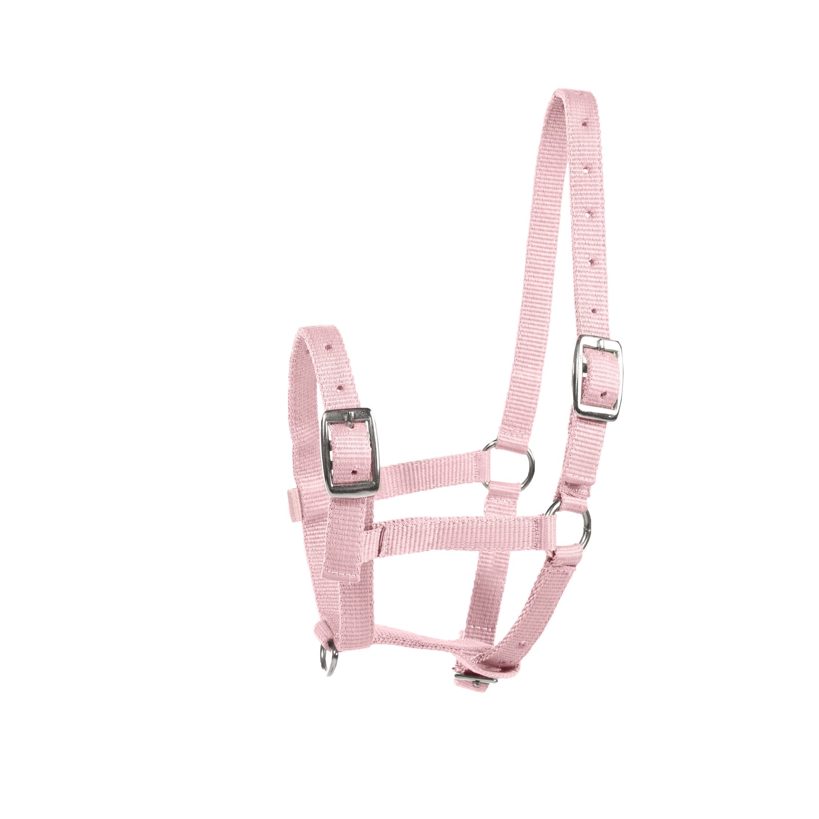 Horze Foal Halter fölgrimma Grimma & grimskaft