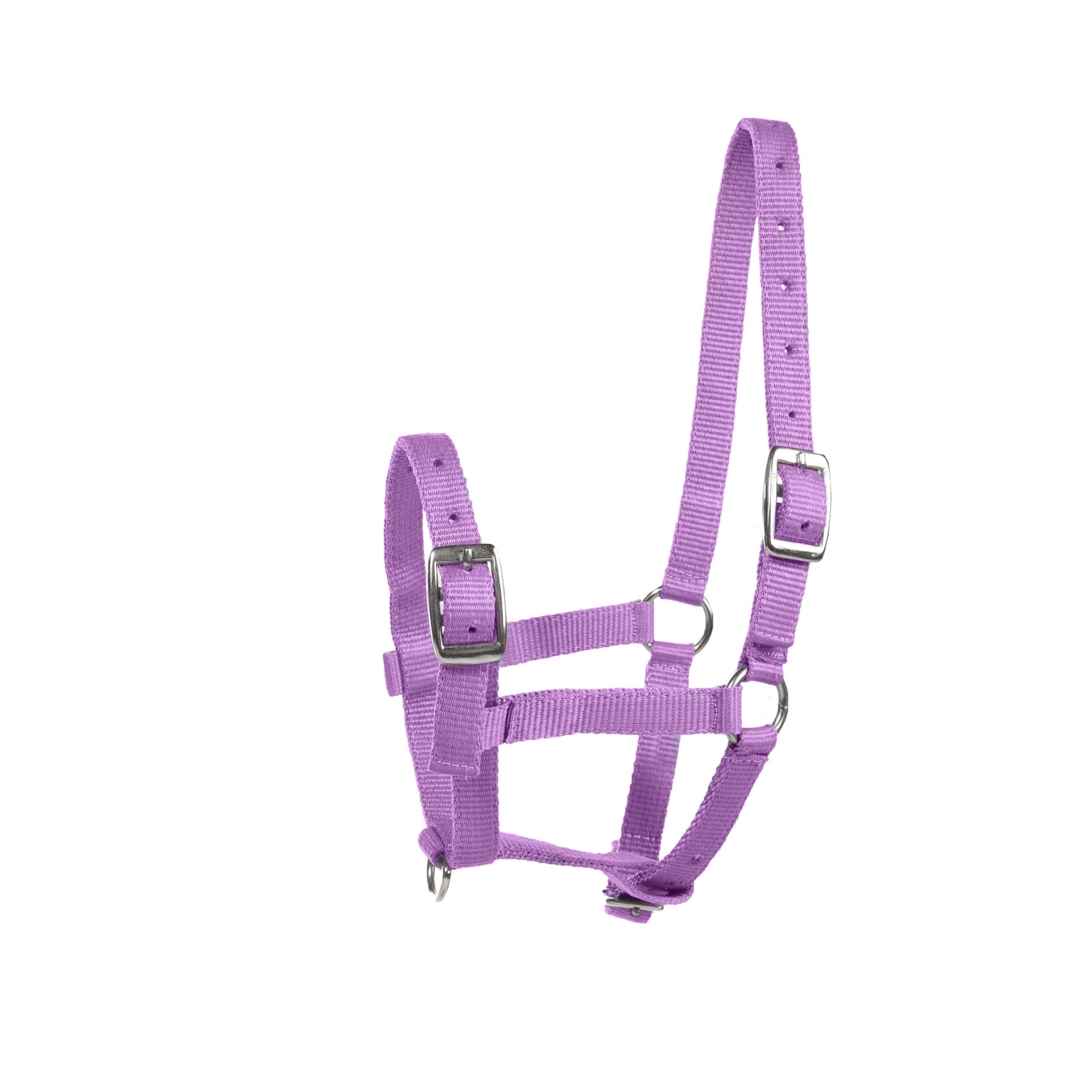 Horze Foal Halter Halters & Leads