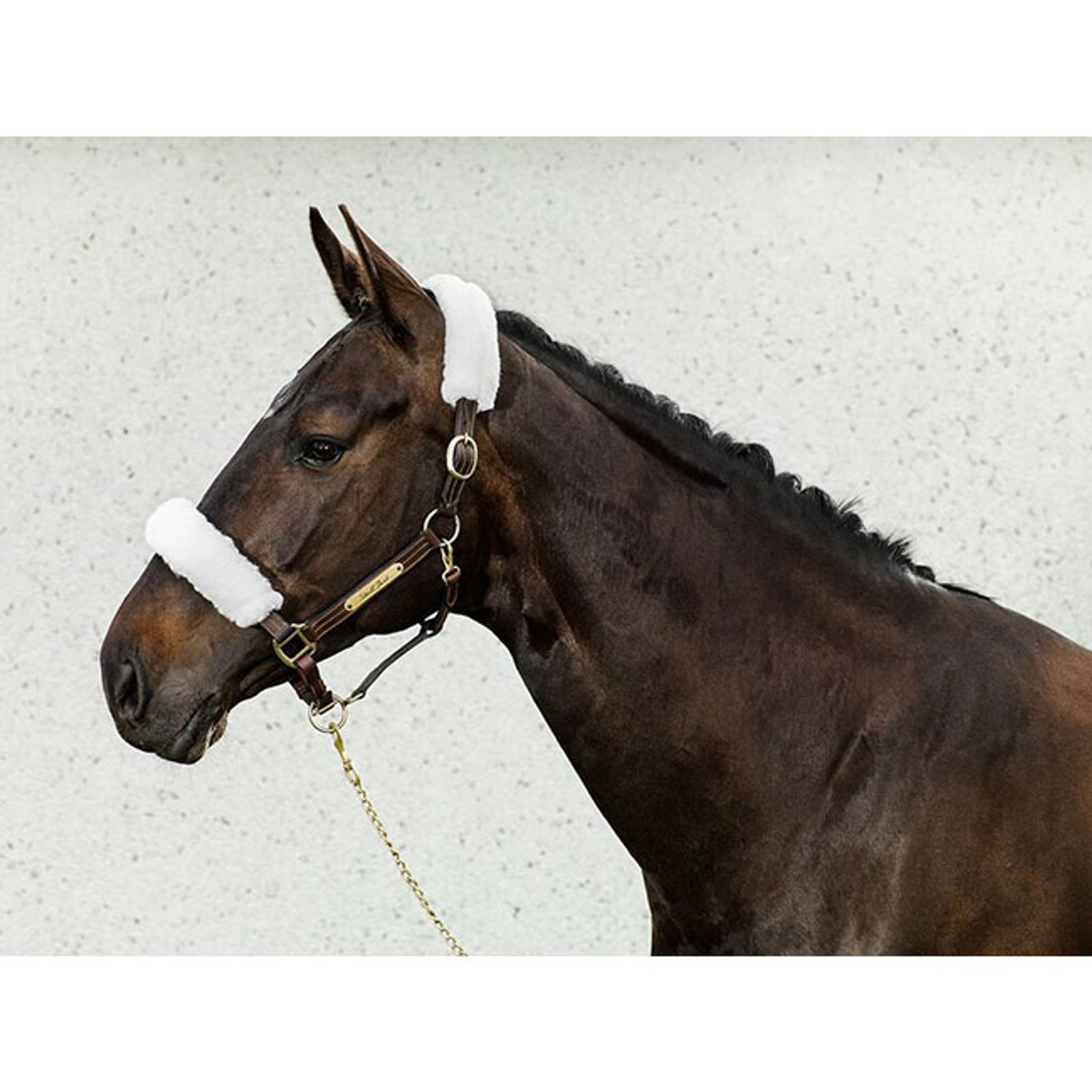 Back on Track grimludd Grimma & grimskaft