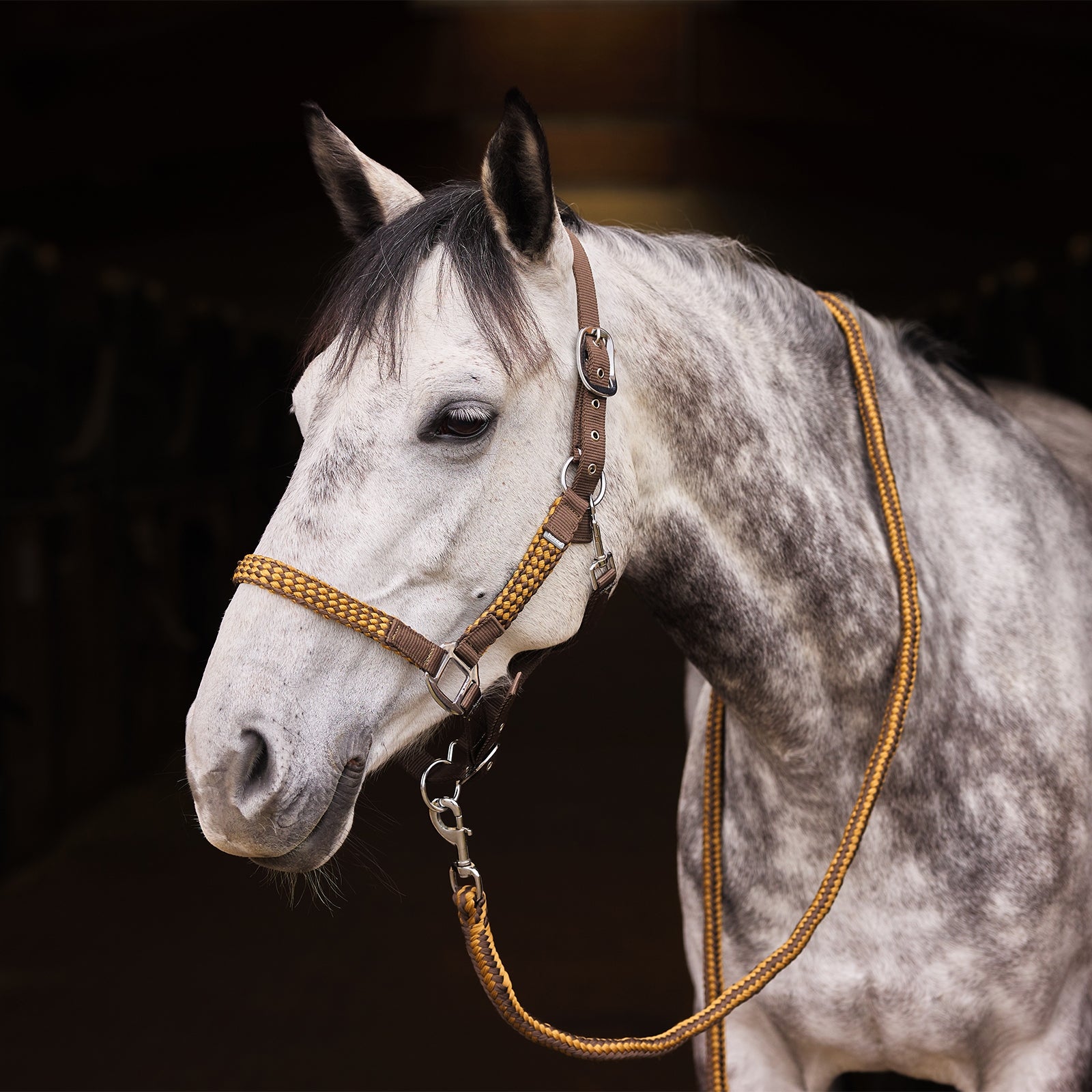 Horze Chicago Halter & Lead Set Halters & Leads