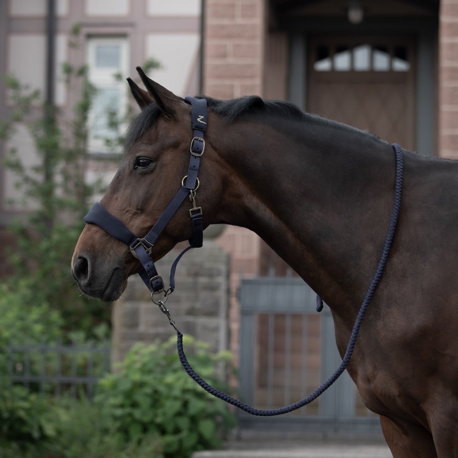 Horze Graz grimma Grimma & grimskaft