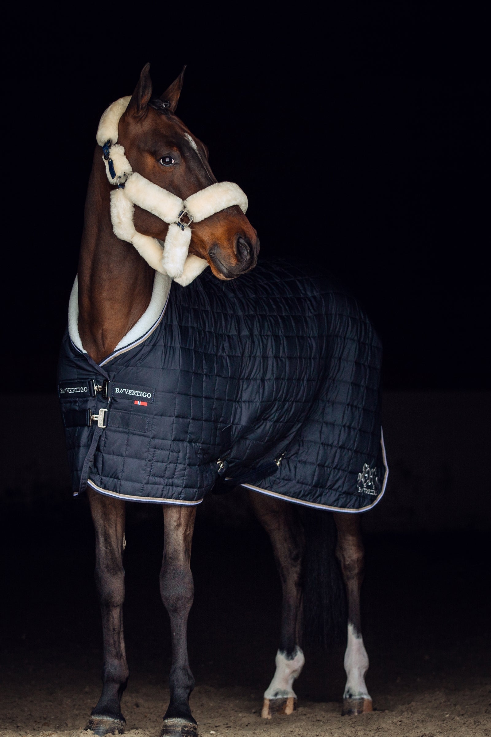 B Vertigo Alaska Halter with Faux Fur Halters & Leads