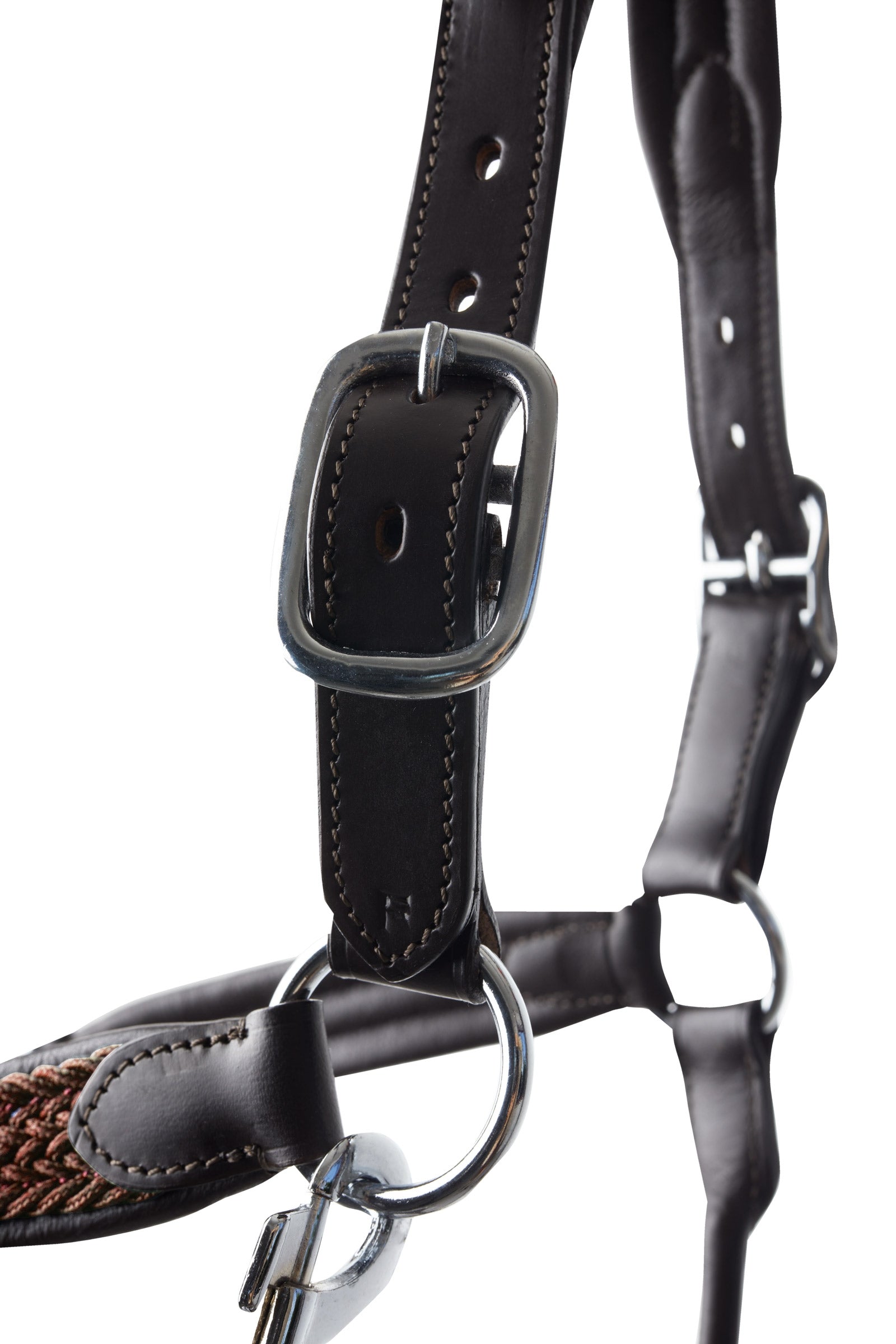 B Vertigo Evolve Leather Halter Halters & Leads