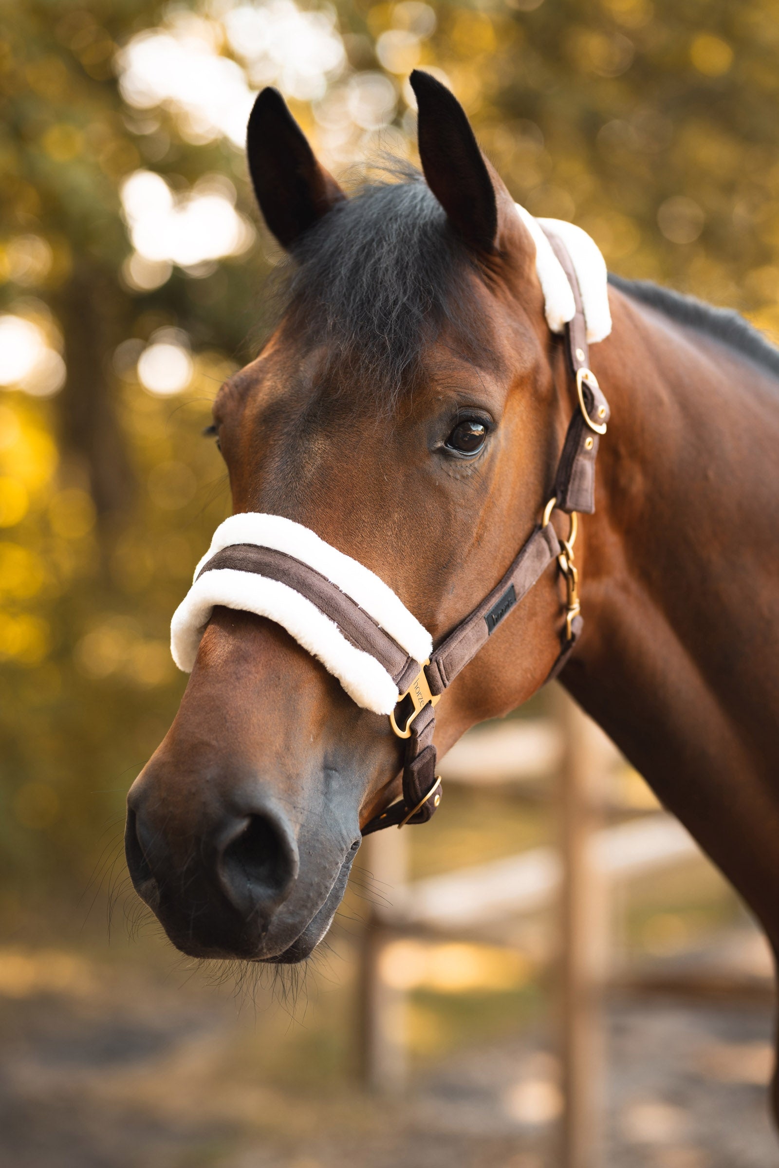 Horze St. Moritz Halter Halters & Leads