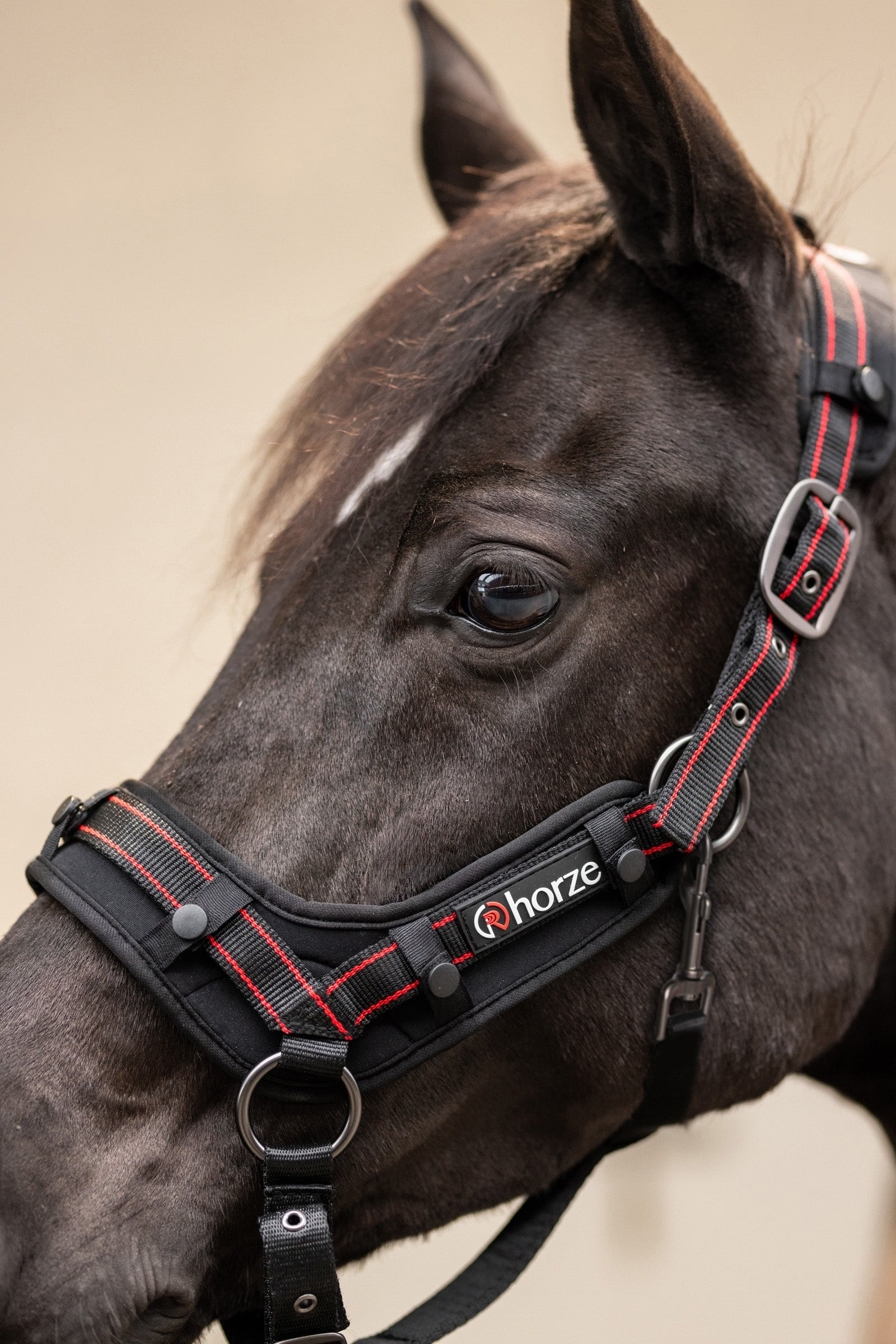 Horze Cairo Infra-red Halter Halters & Leads