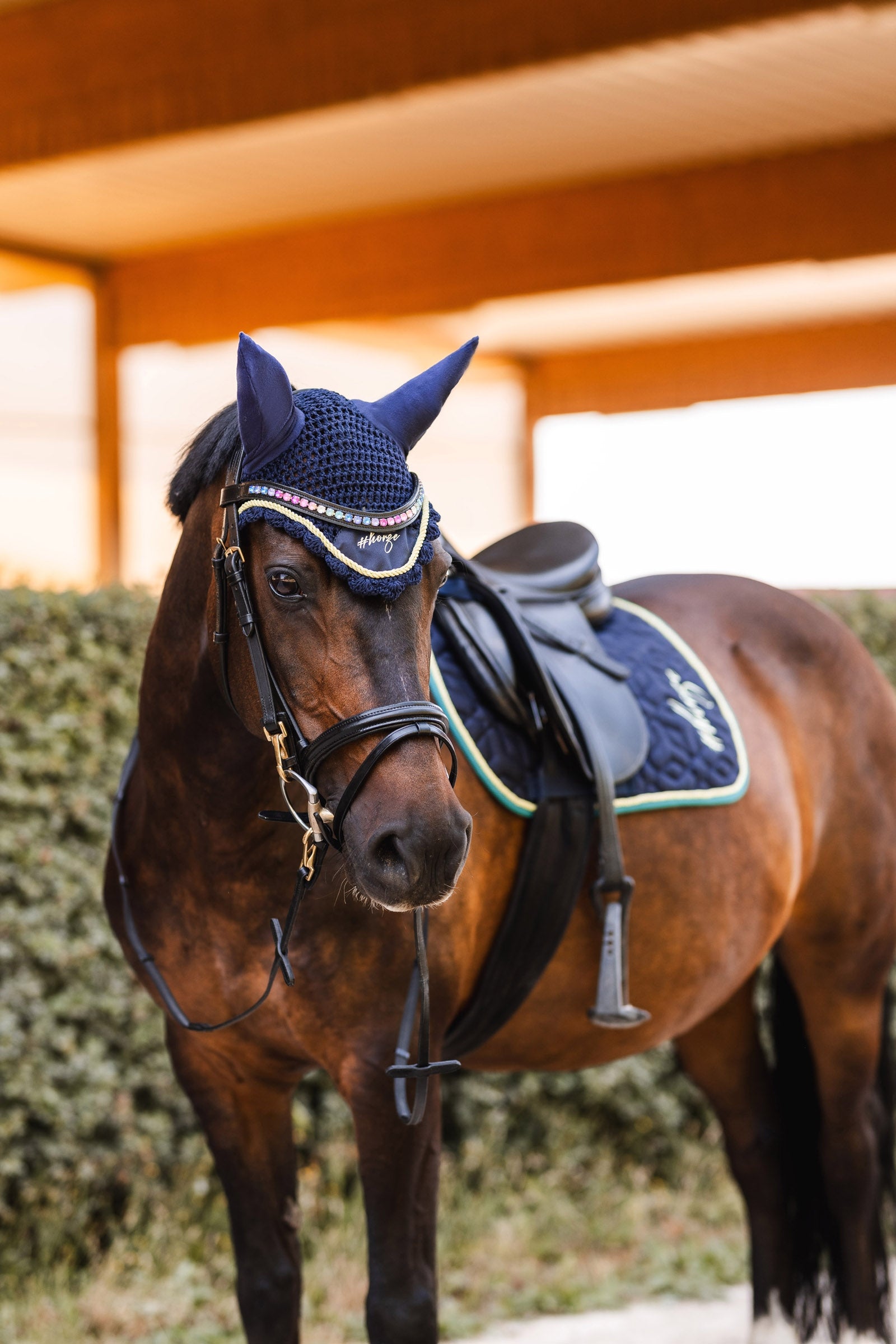 Horze Magic Carousel Part 2 Ear Nets Saddle Pads