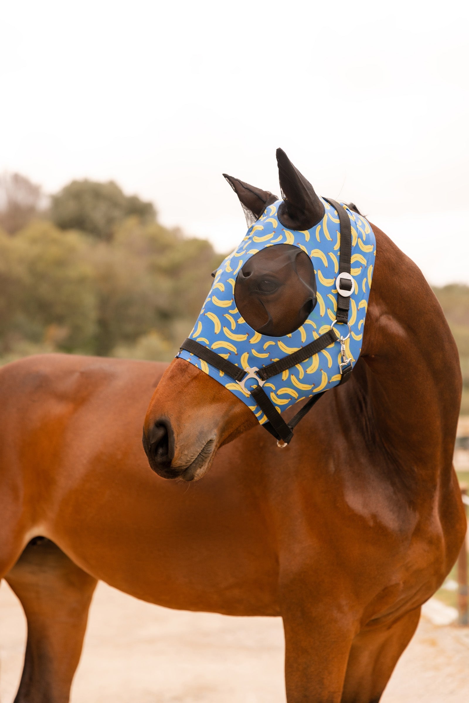 Horze Ibiza Elastic Pull-On Fly Mask Antifly Protection for Horses