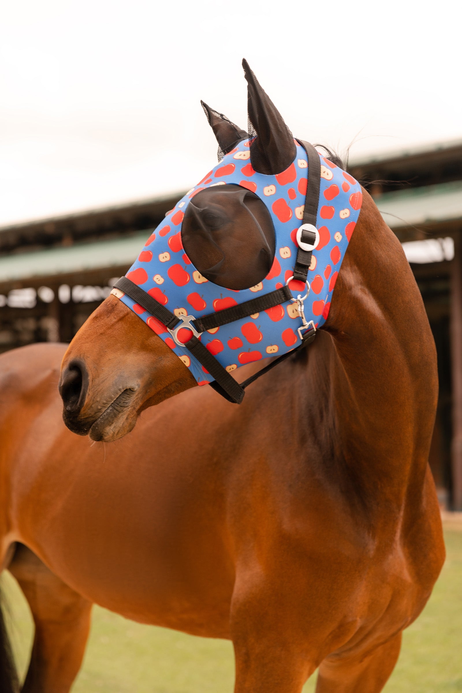 Horze Ibiza Elastic Pull-On Fly Mask Antifly Protection for Horses
