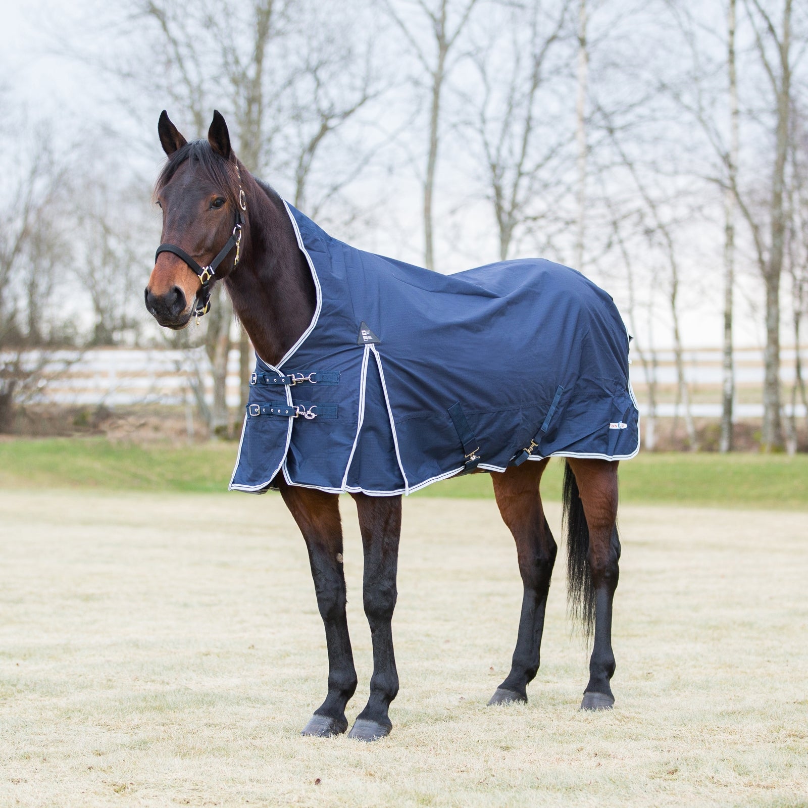 Finntack Pro Alaska Turnout Rug with high neck Horse Rugs