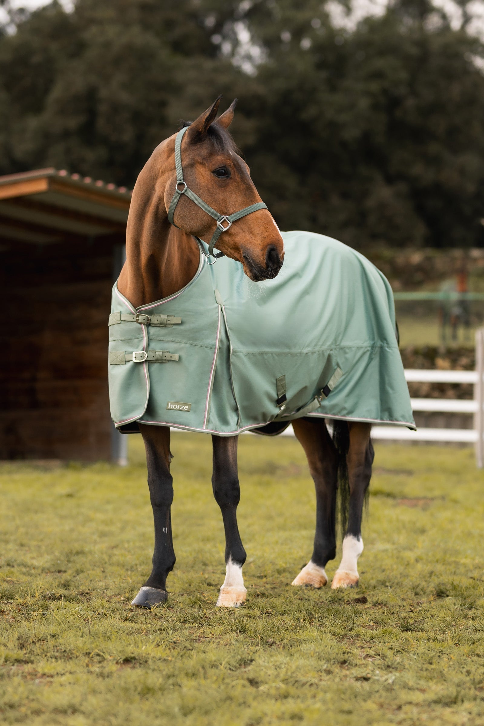 Horze Glasgow Turnout Rug with Fleece Lining and Reflective Accents, 0g Horse Rugs