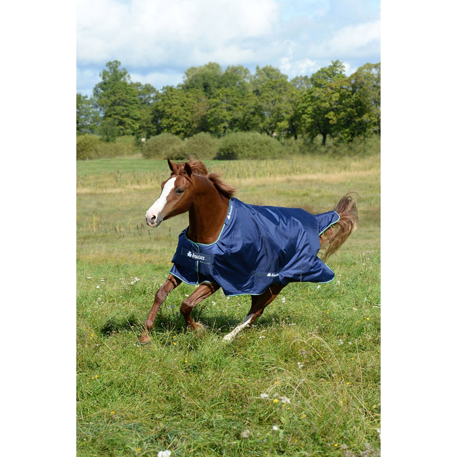 Bucas Smartex Medium Turnout täcke Hästtäcken