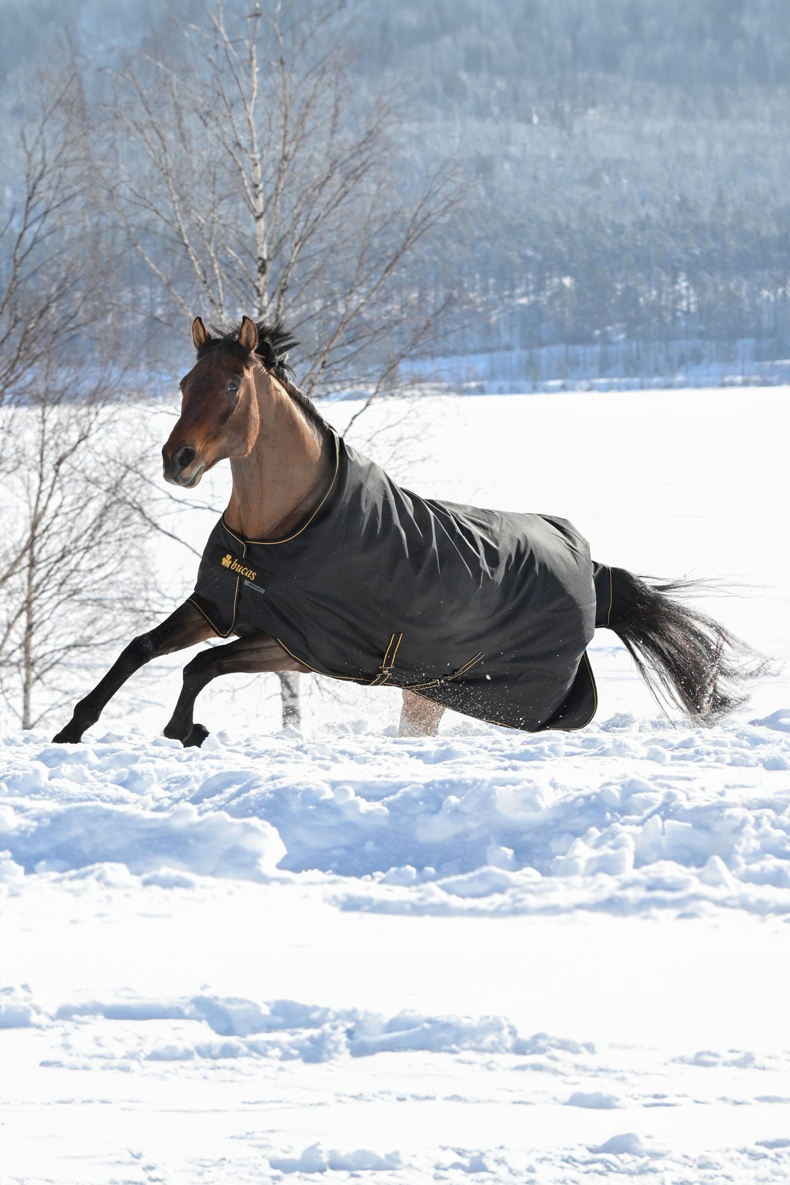Bucas Irish utetäcke, 300g Hästtäcken