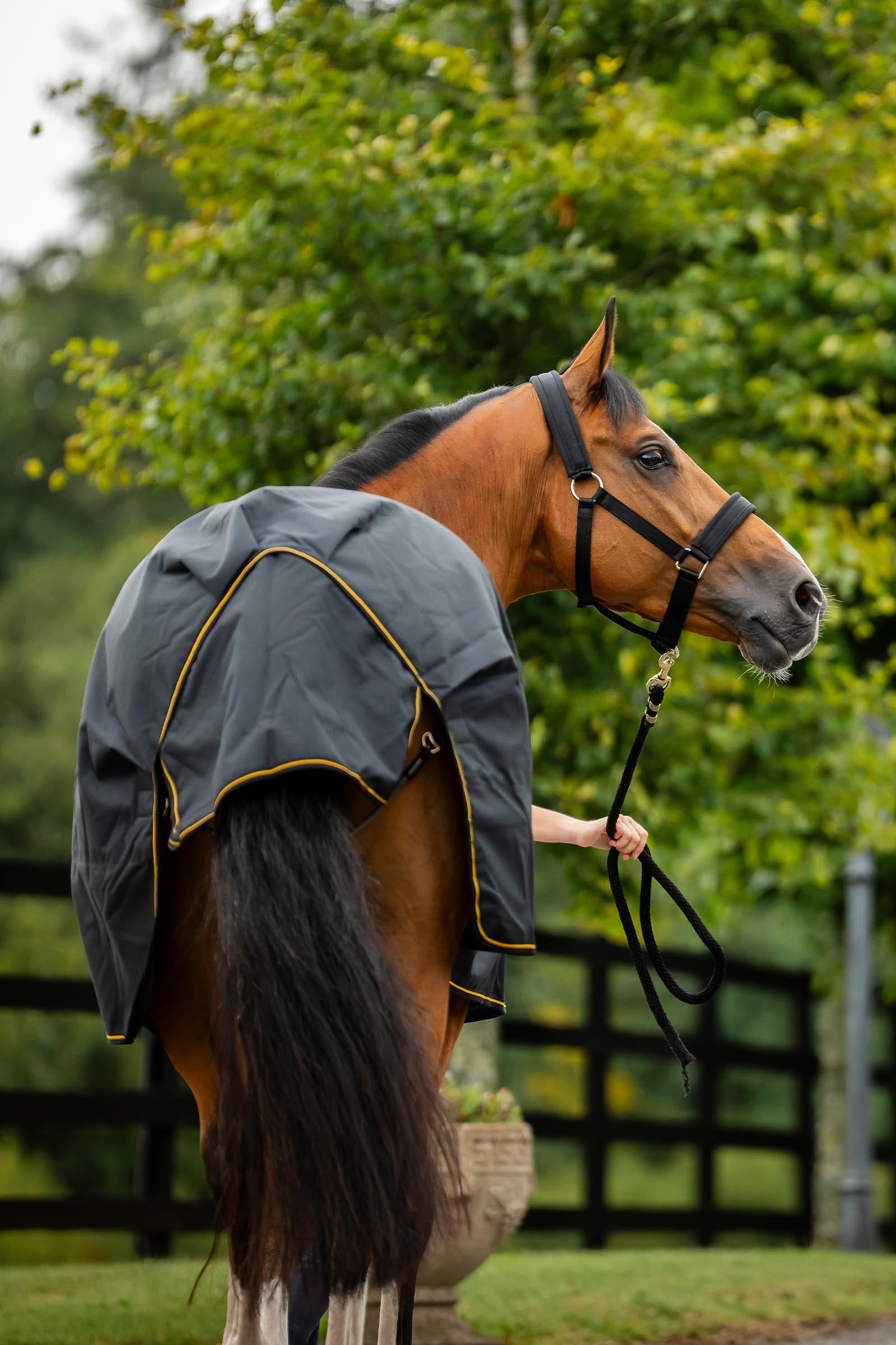 Bucas Irish Turnout Rug, 50g Horse Rugs