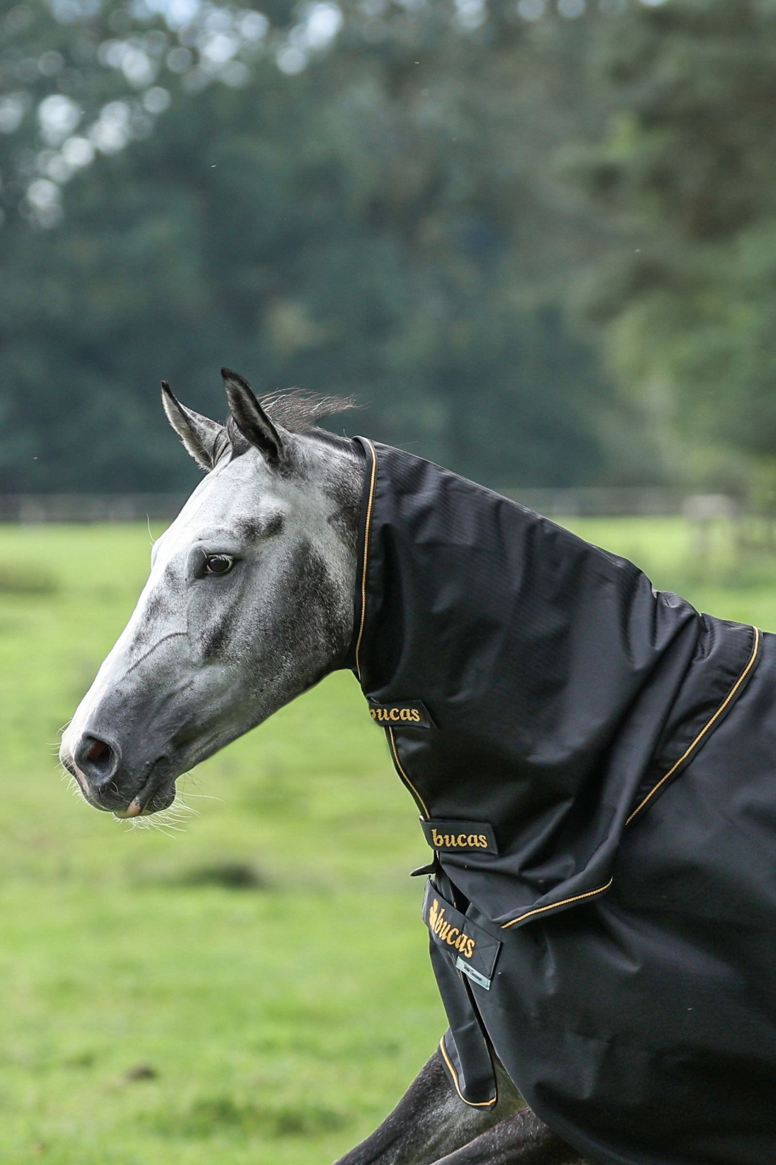 Bucas Irish Turnout halstäcke, 0g Hästtäcken