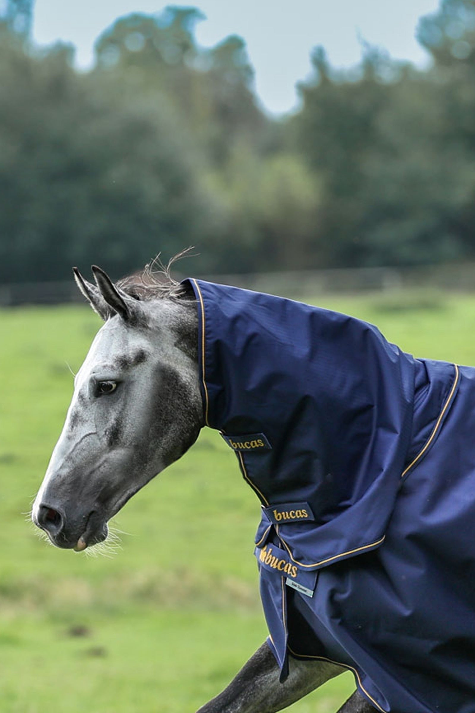 Bucas Irish Turnout halstäcke, 0g Hästtäcken