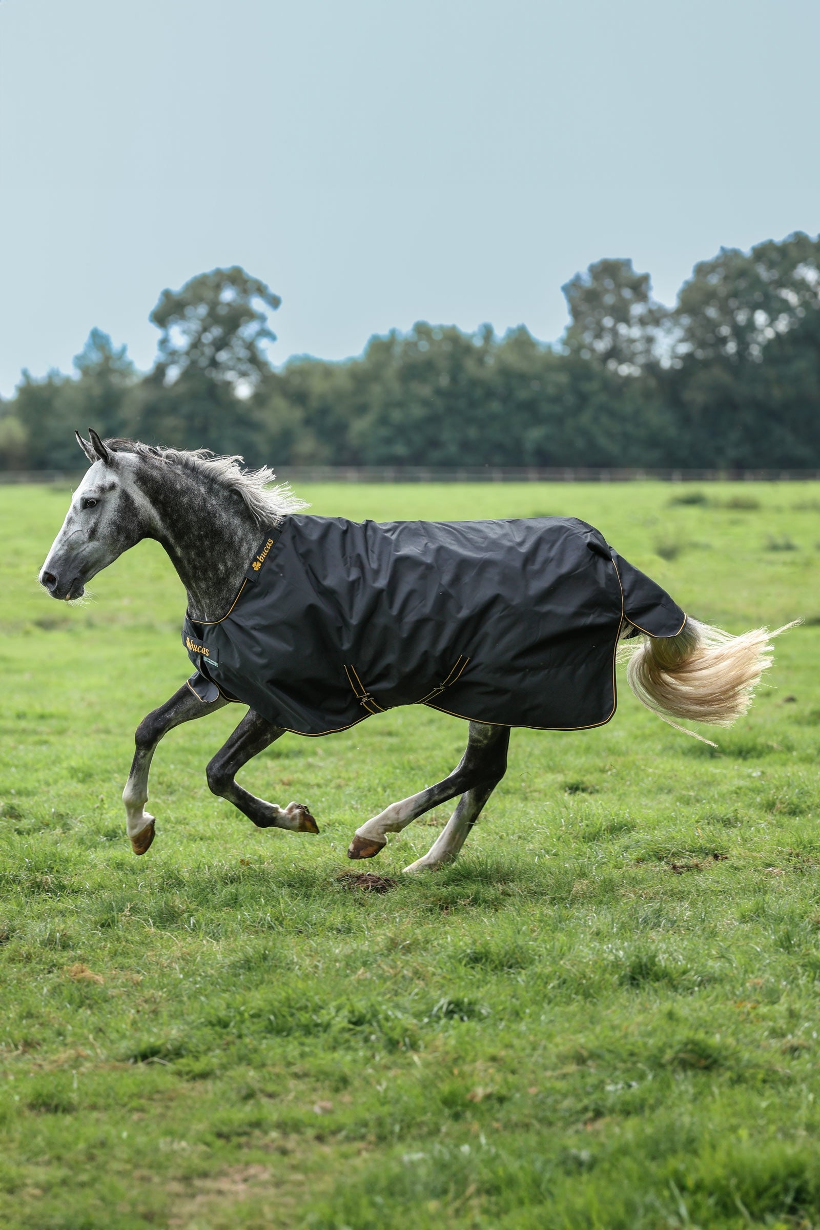 Bucas Irish Pony Turnout Rug, 50g Horse Rugs