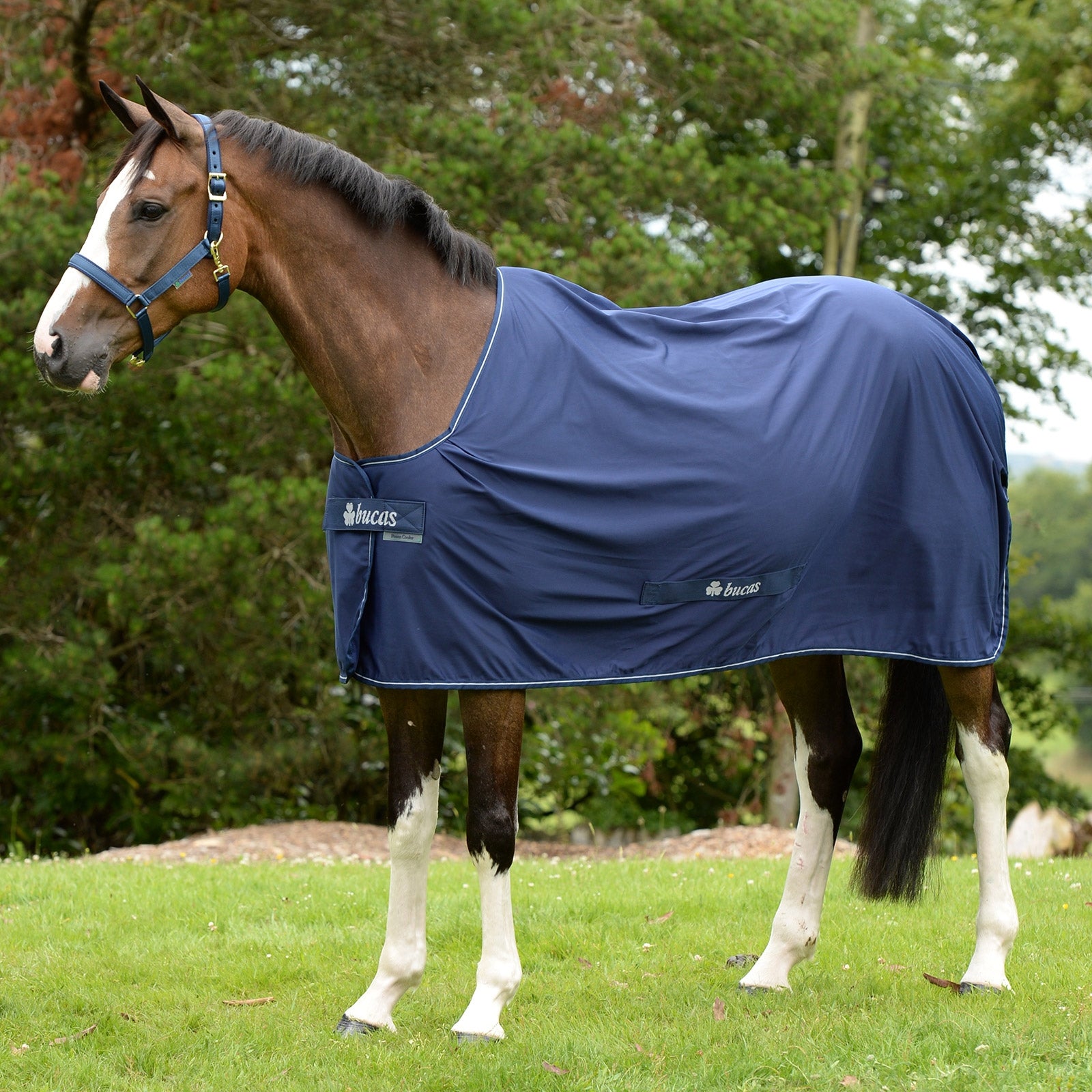 Bucas Shamrock Power ponnytäcke Hästtäcken