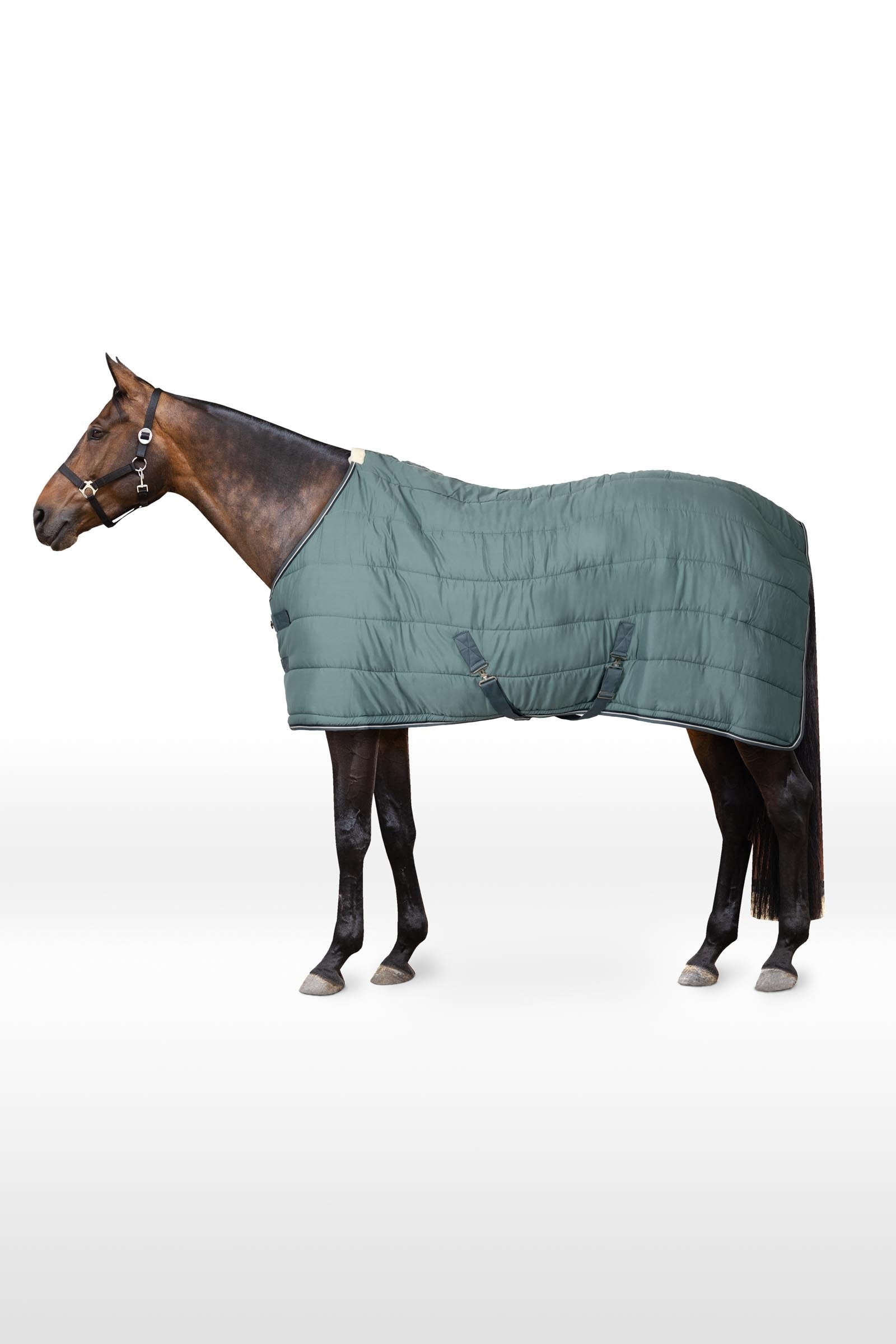 Horze Glasgow stalltäcke / undertäcke, 200 g Hästtäcken