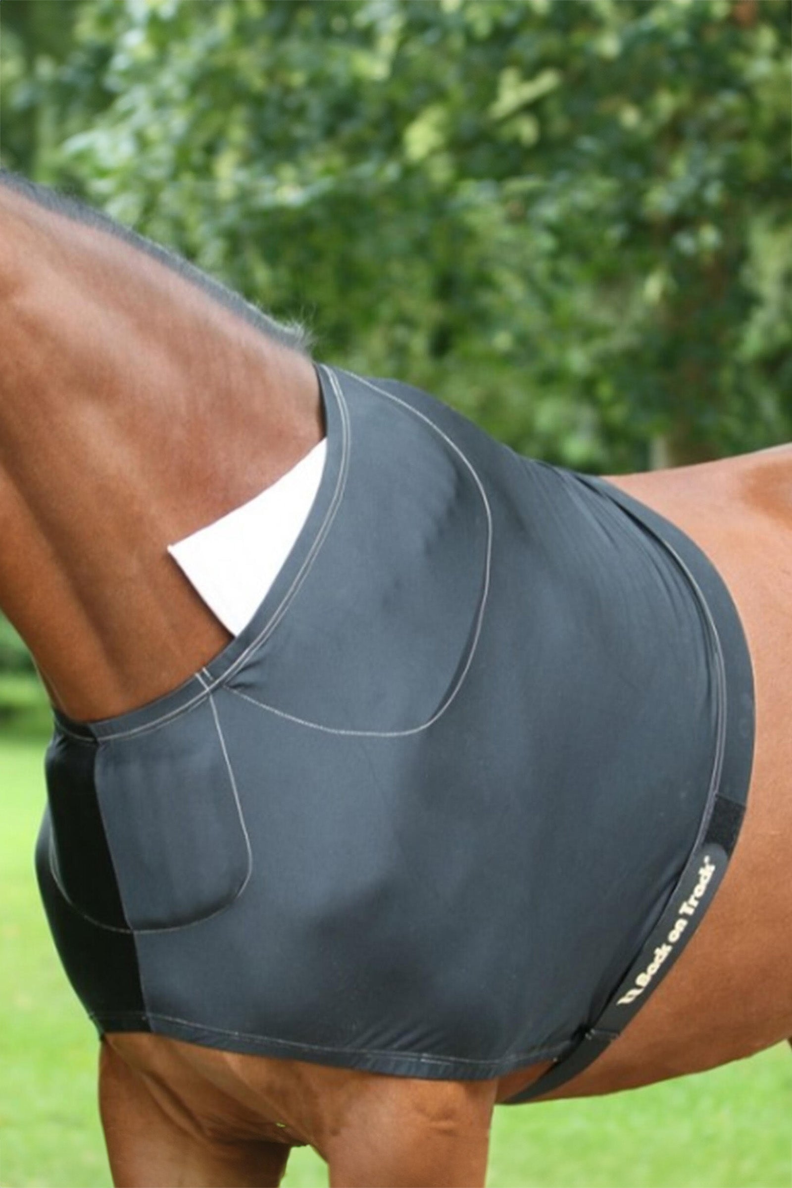 Back on Track bogskydd Hästtäcken