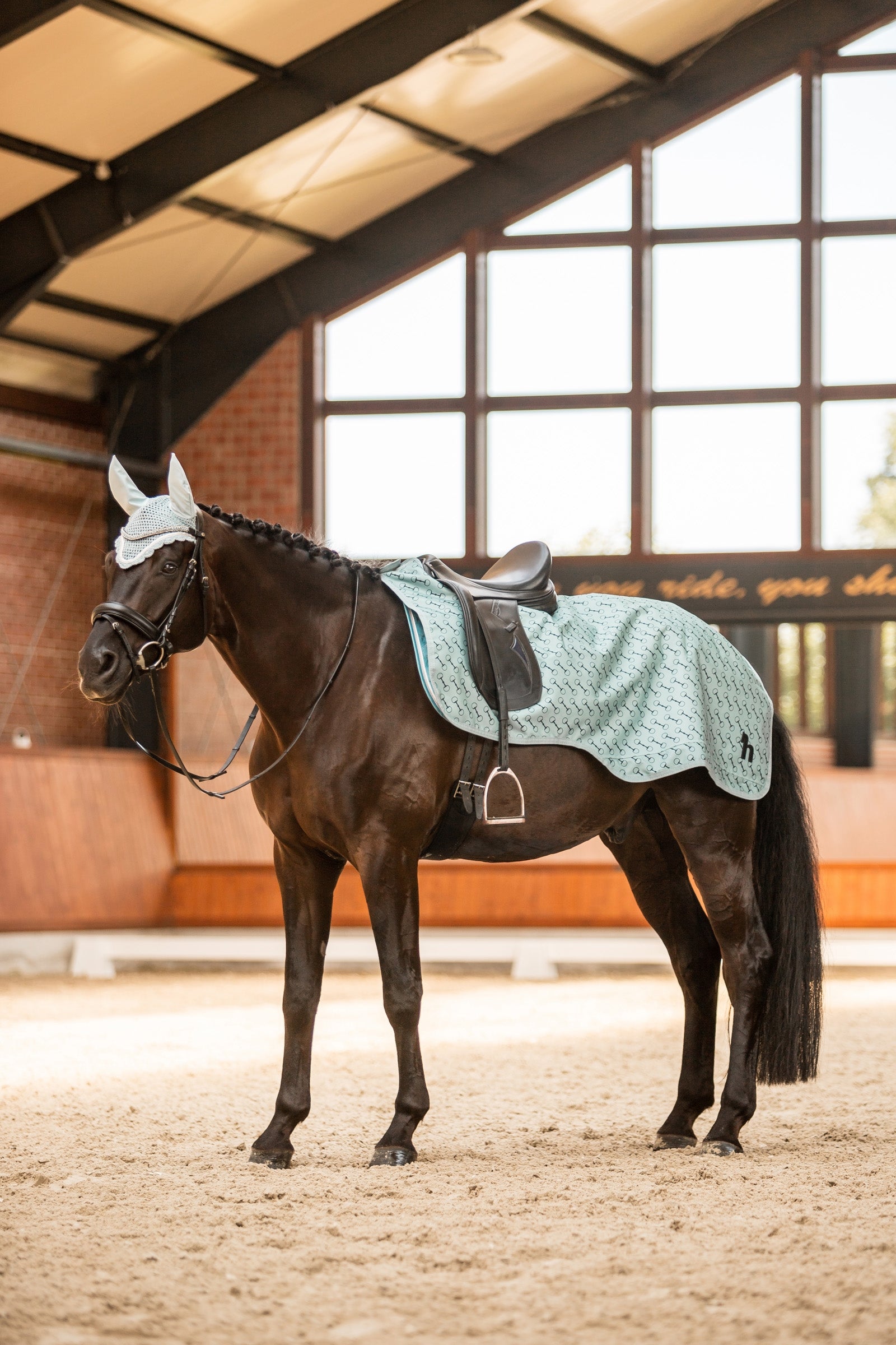 Horze Avalanche Riding Rug, 150g Horse Rugs