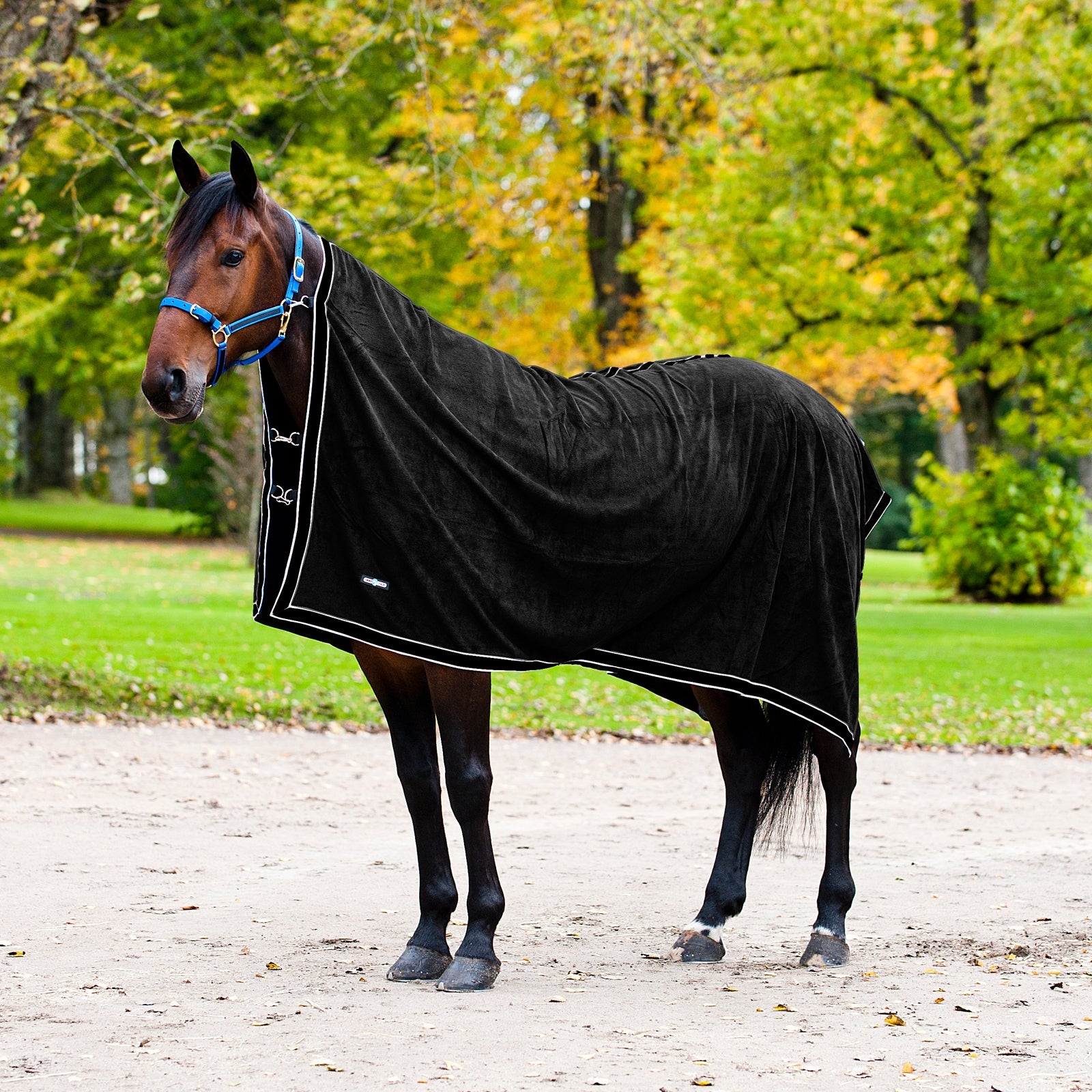 Finntack Pro svettäcke i fleece Hästtäcken