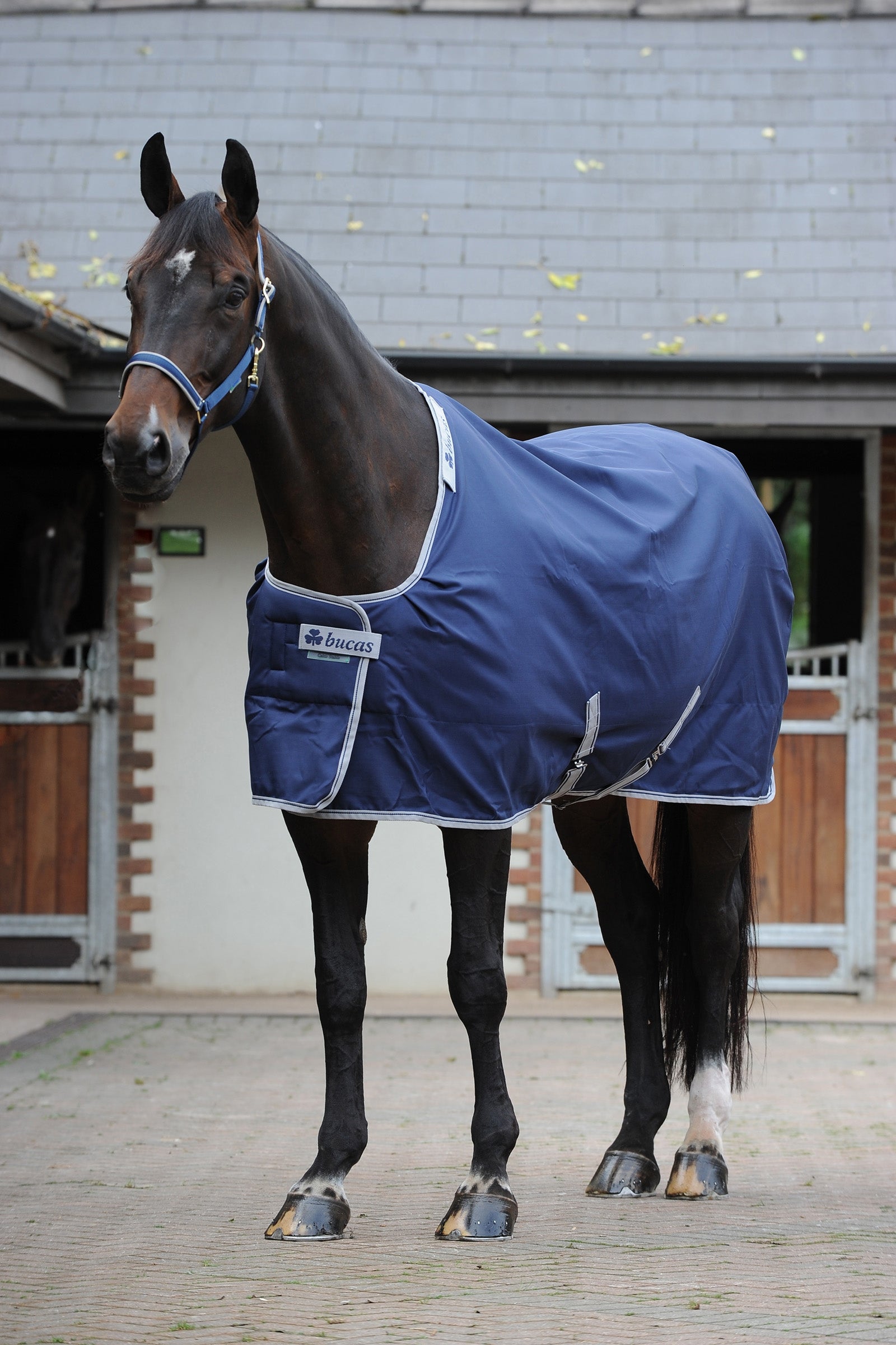 Bucas Celtic Stable Extra täcke Hästtäcken