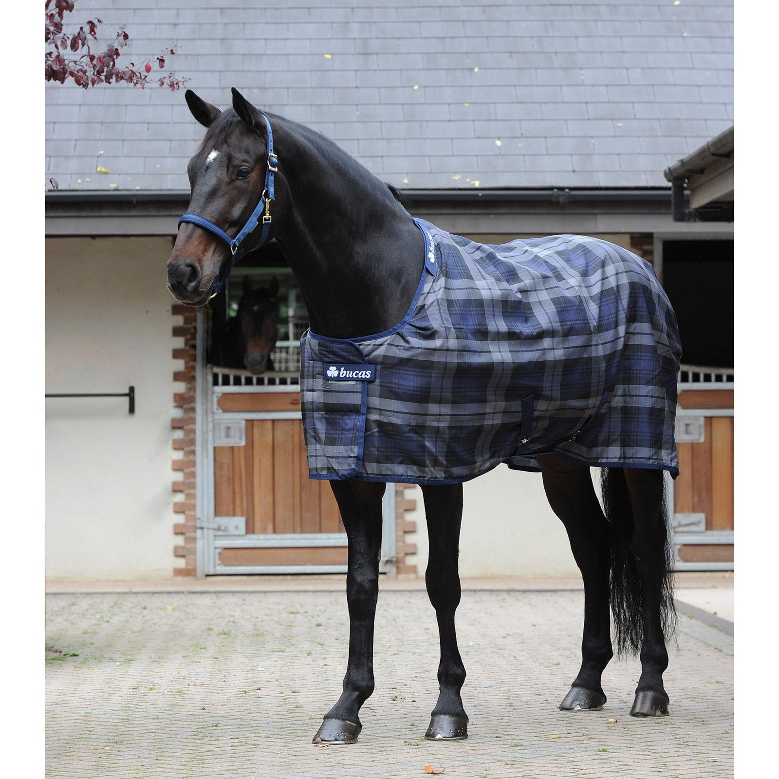 Bucas Celtic Stable Extra täcke Hästtäcken
