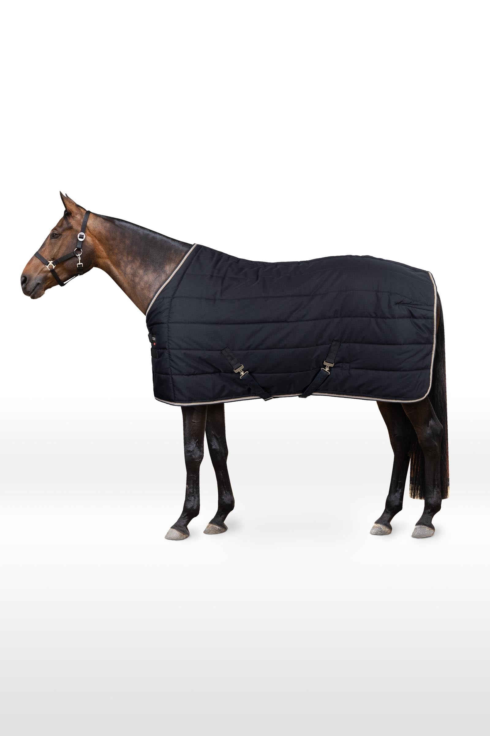 B Vertigo Corey Stable Rug, 250g Horse Rugs