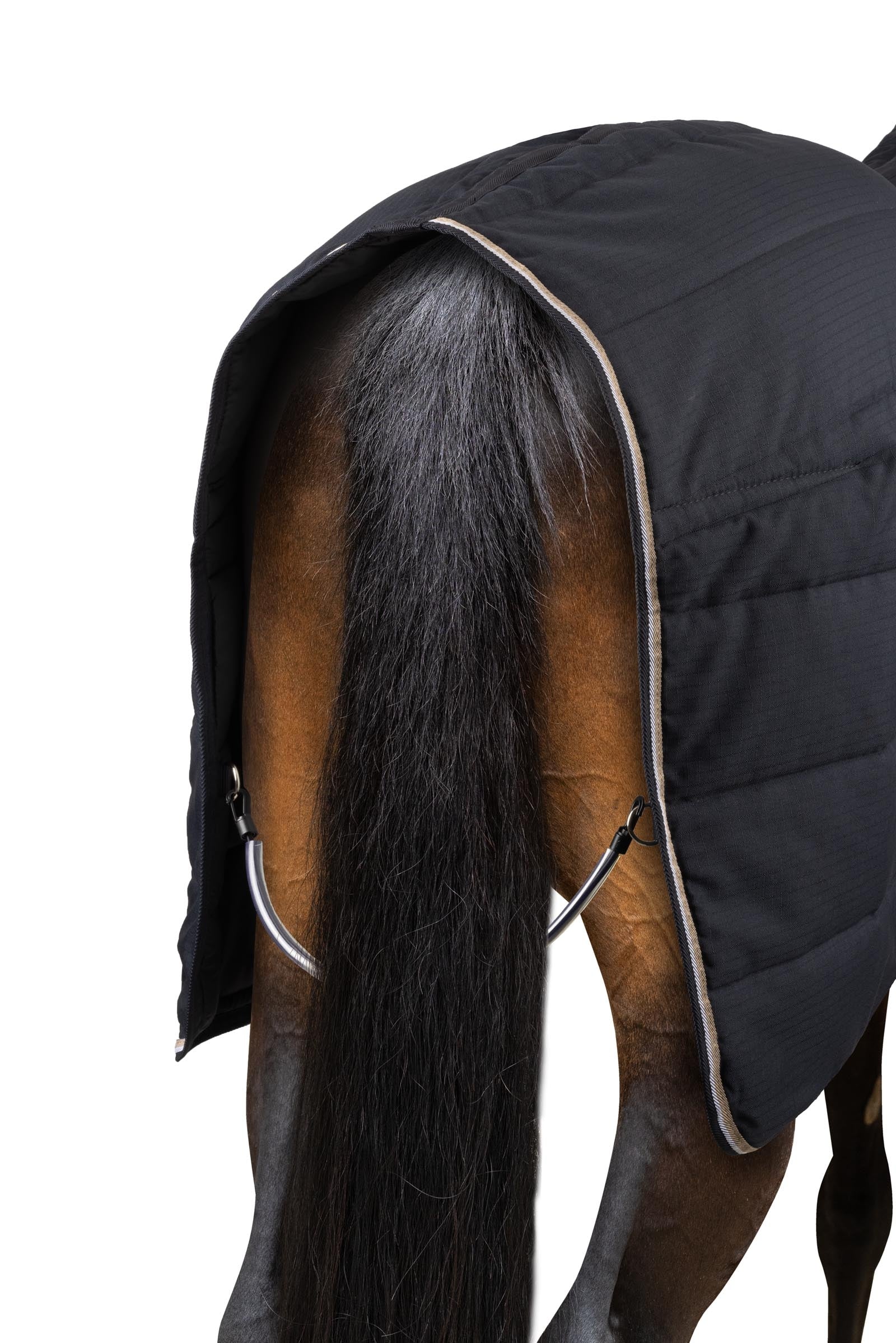 B Vertigo Corey Stable Rug, 250g Horse Rugs