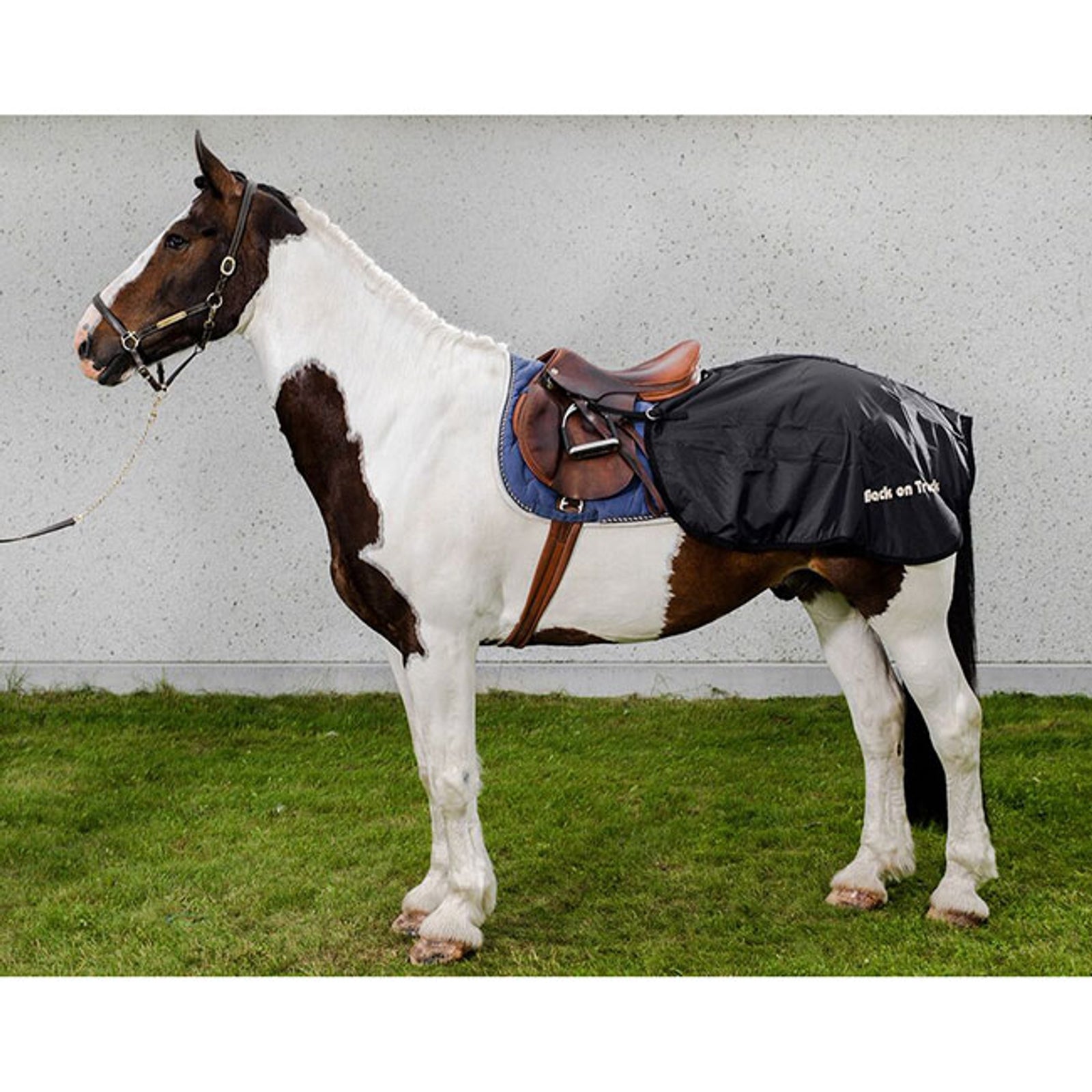 Back on Track ländtäcke Hästtäcken
