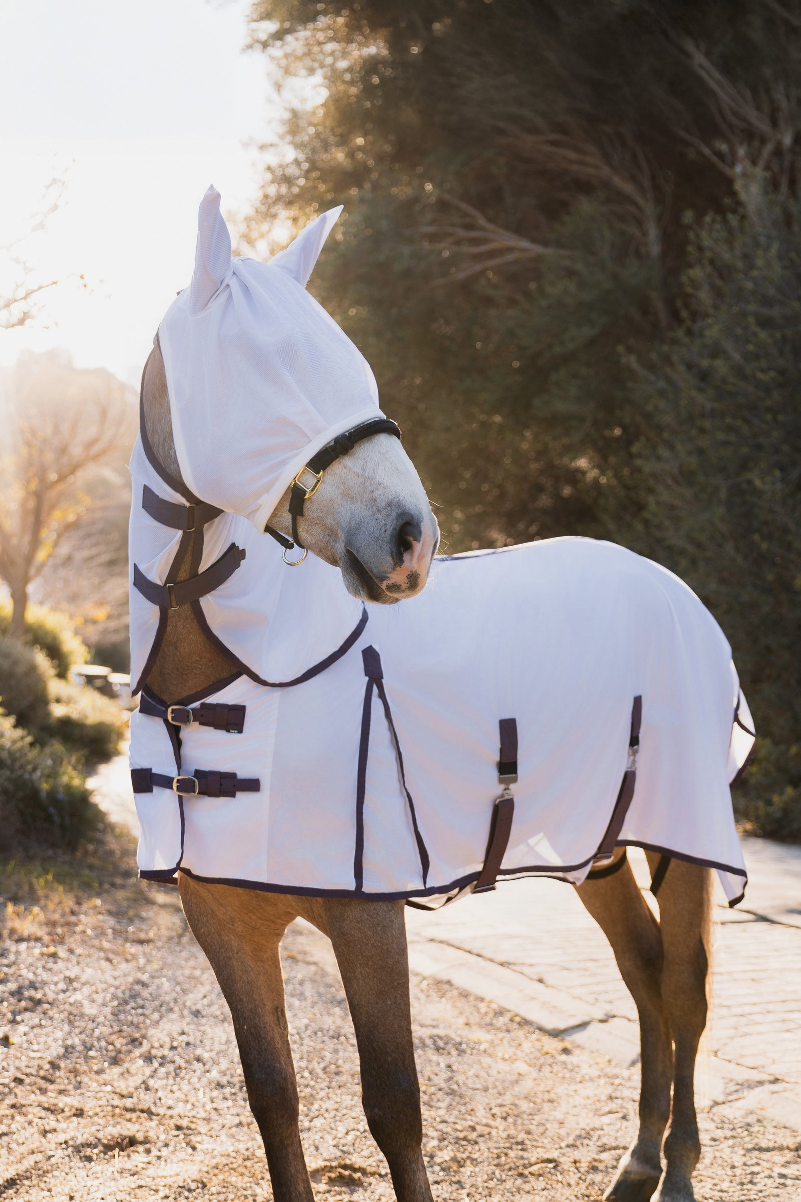 Horze La Paz Fly Set with Rug, Detachable Neck and Mask Horse Rugs