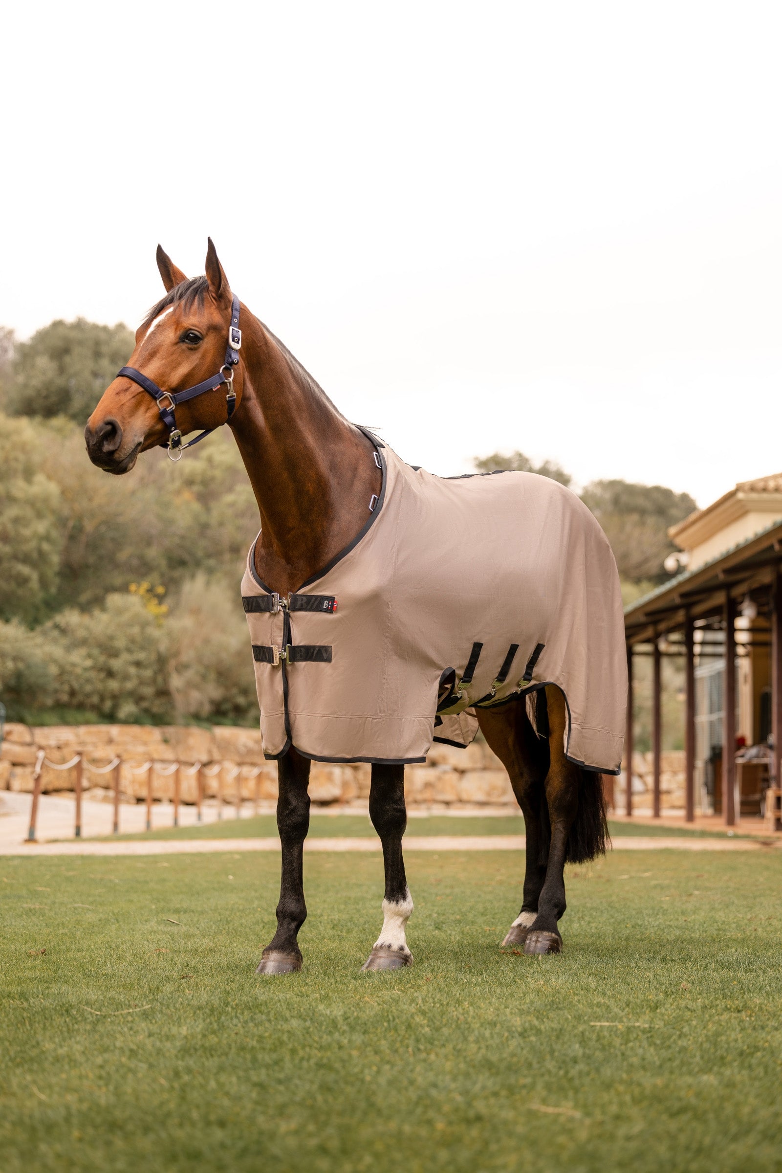 B Vertigo Delux Fly Rug with Detachable Neck and UV Protection Horse Rugs