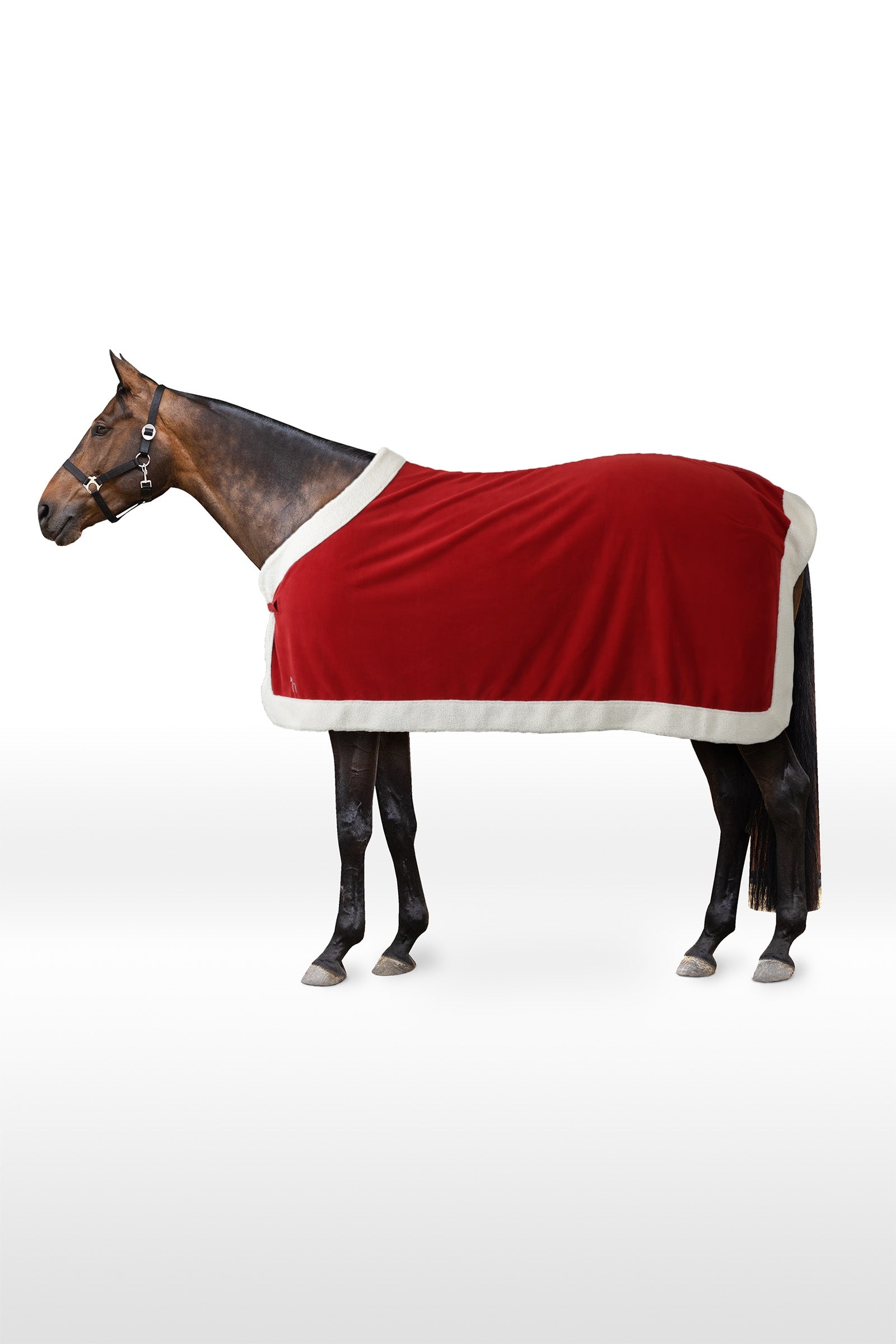 Horze Christmas Rug Horse Rugs
