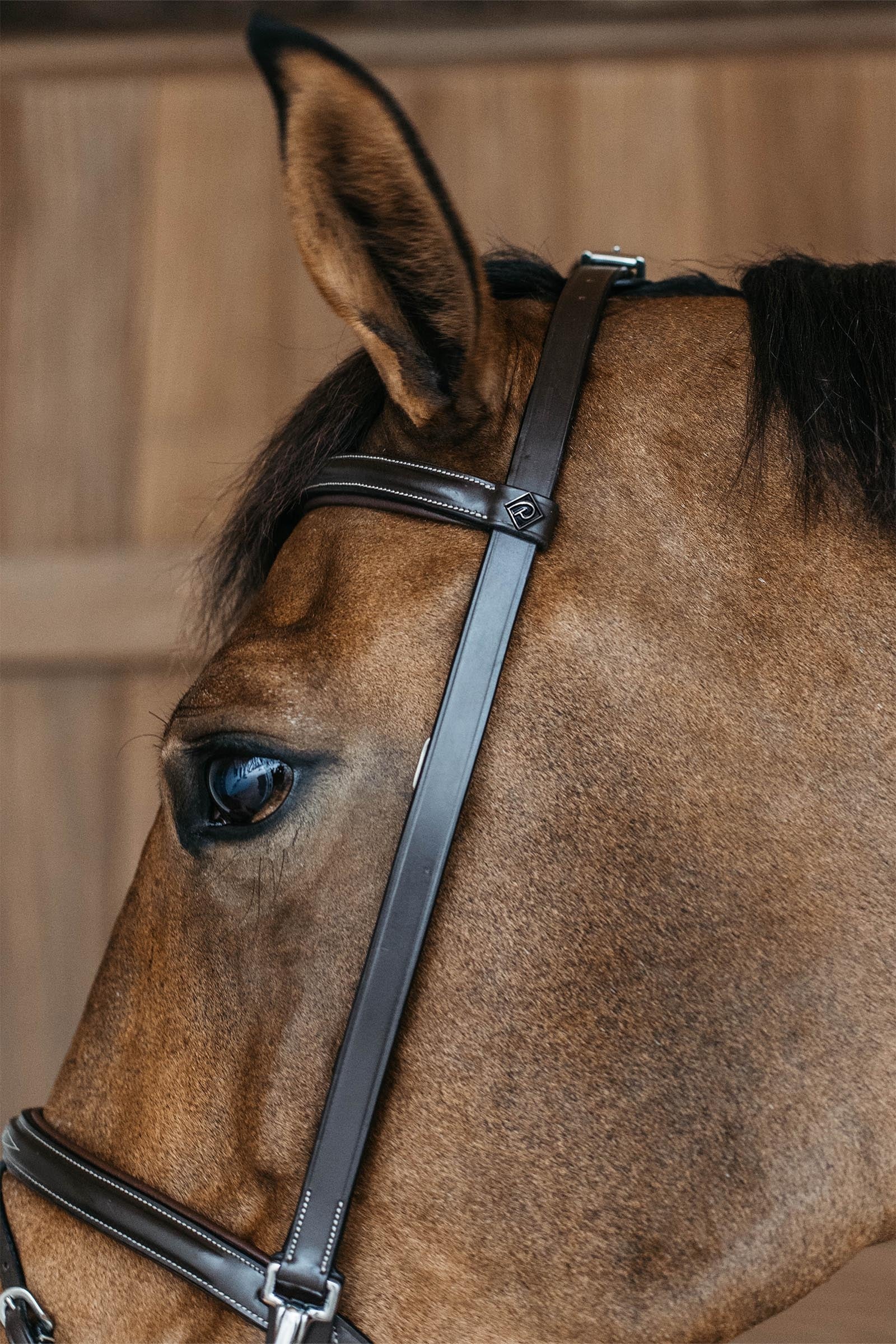 Dy'on Working Training Bridle Bridles & Reins