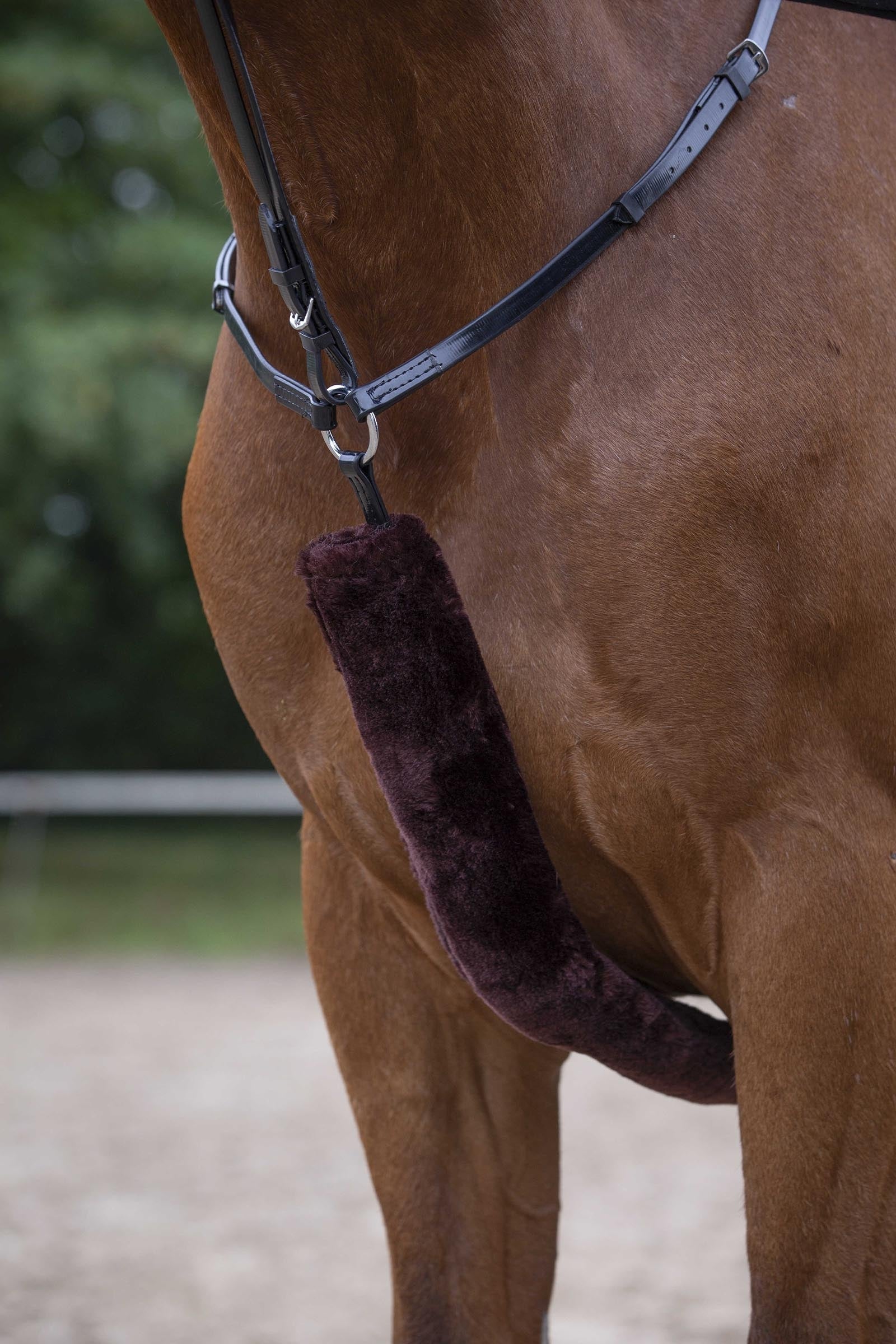 Equi Theme EQUITHÈME Teddy Hunting Breastplate Sleeve Bridles & Reins