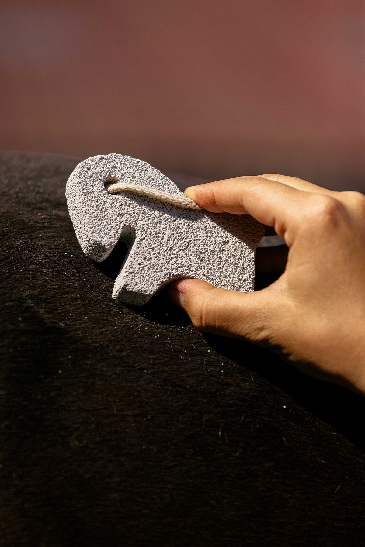HIPPOTONIC Pumicestone, horse shaped Horse Grooming Tools