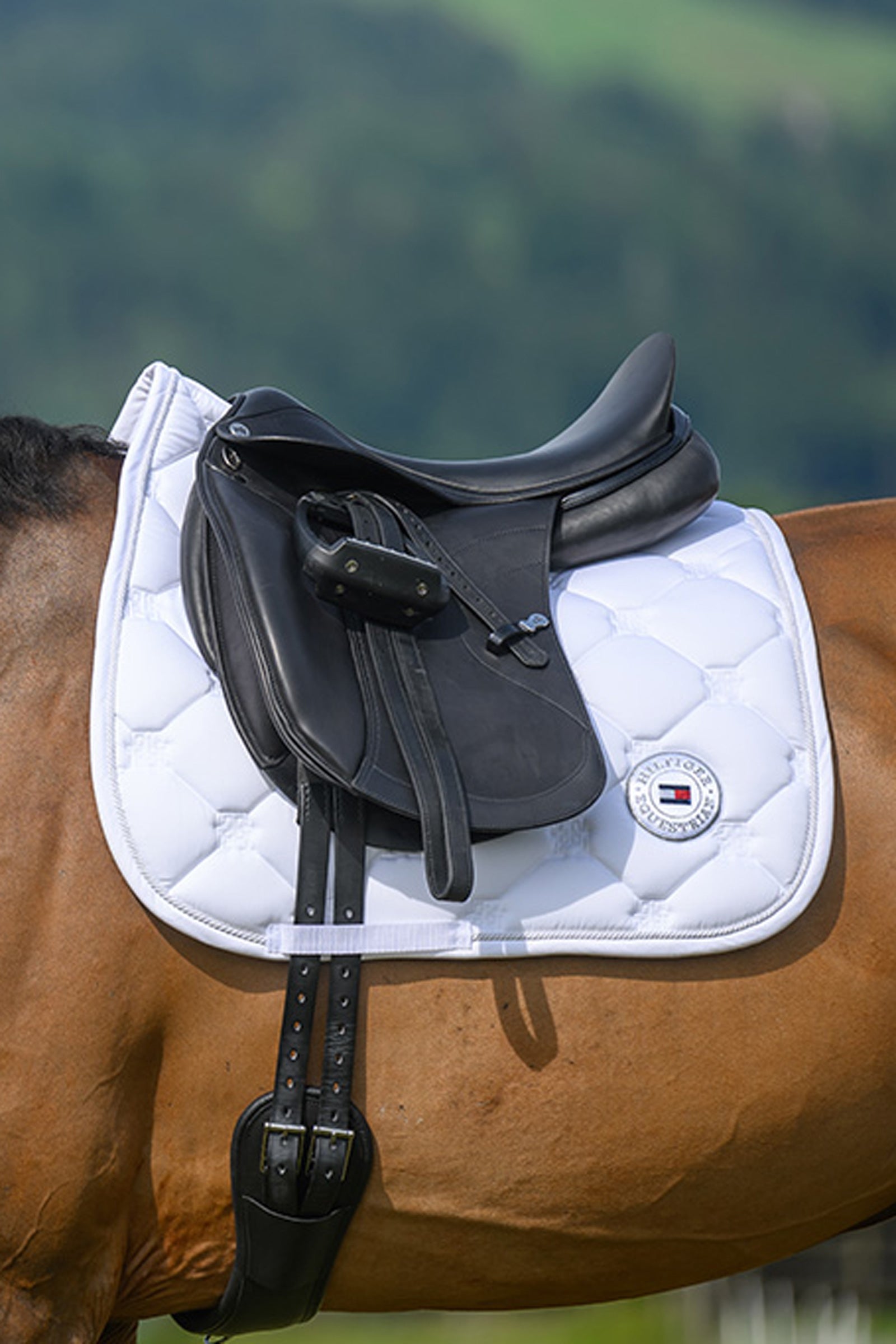 Tommy Hilfiger Equestrian Liberty dressyrschabrak Schabrak