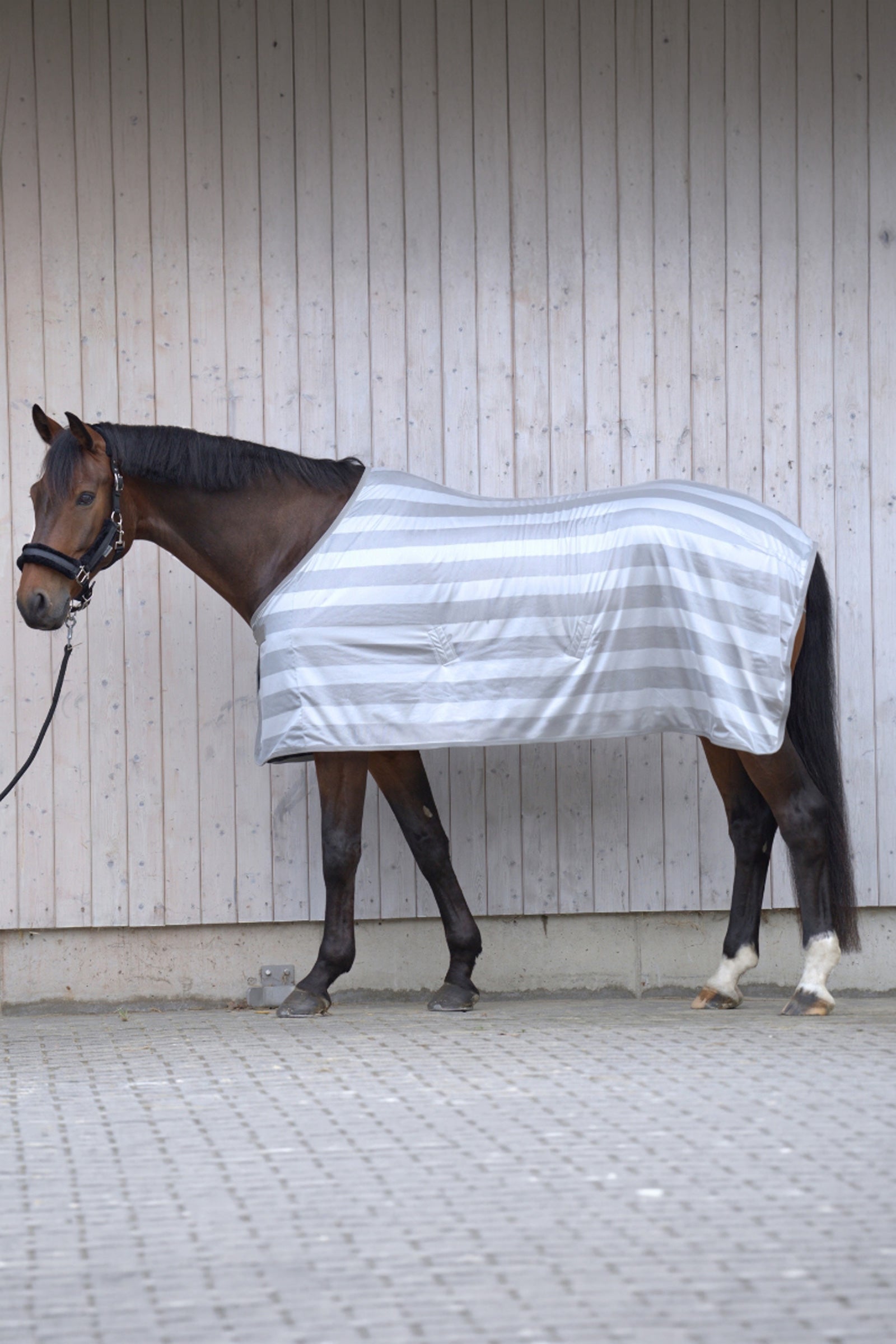Kavalkade Stripe Fly Rug Horse Rugs