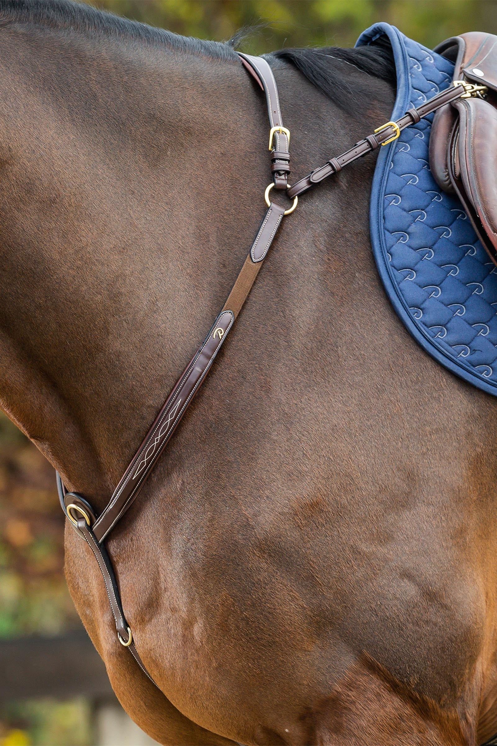 Dy'on D Collection brösta med bro Träns & Tyglar