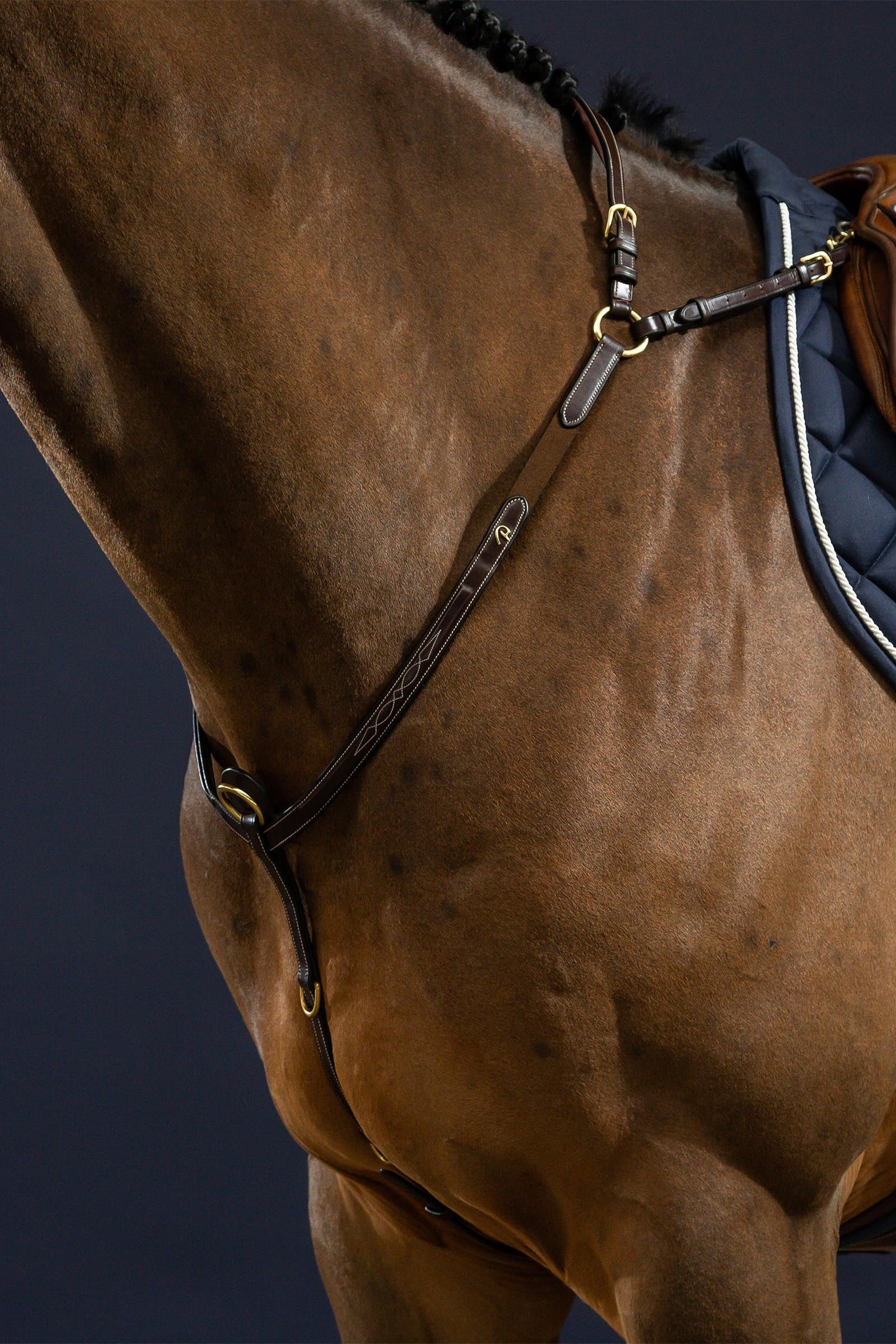 Dy'on D Collection Bridge Breastplate Bridles & Reins