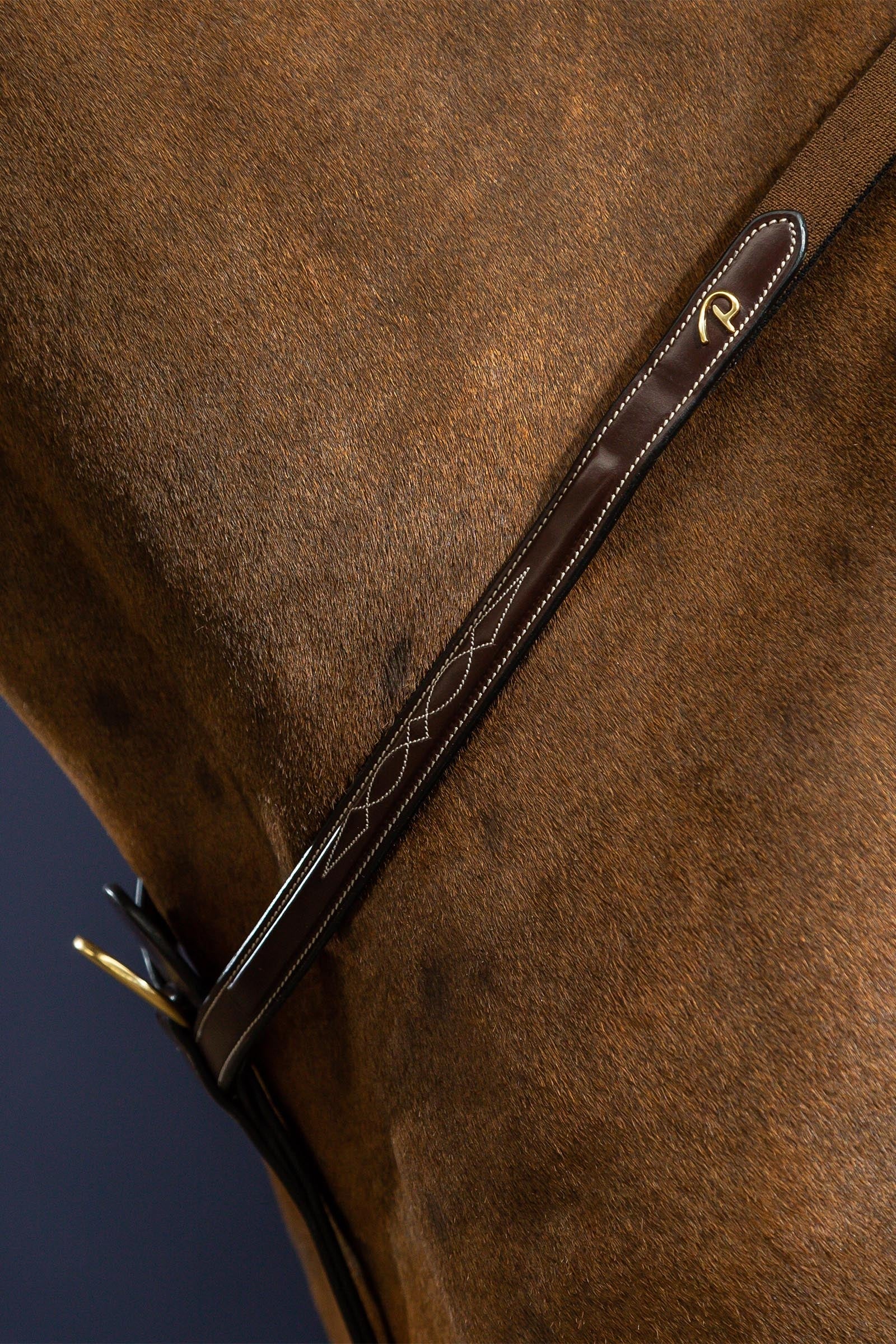 Dy'on D Collection Bridge Breastplate Bridles & Reins