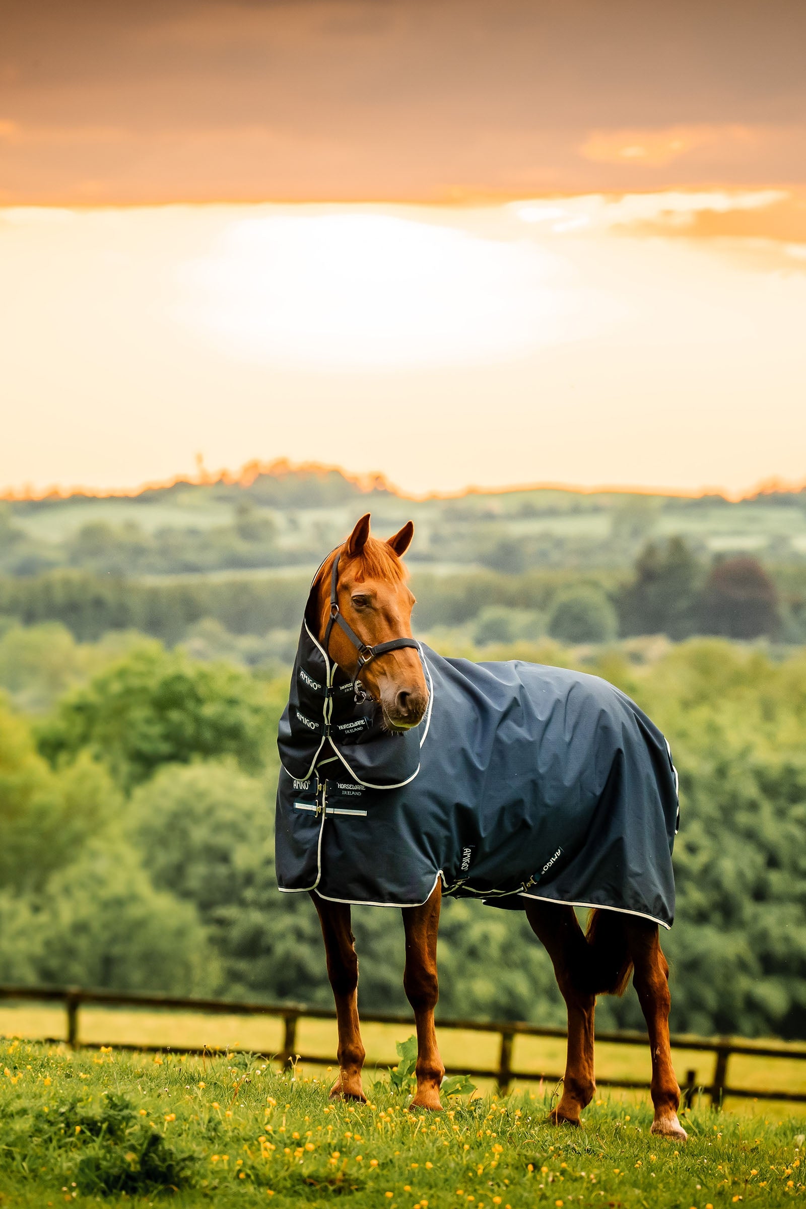 Horseware Amigo Ripstop 900D Plus utetäcke med avtagbar halsdel, 100 g Hästtäcken