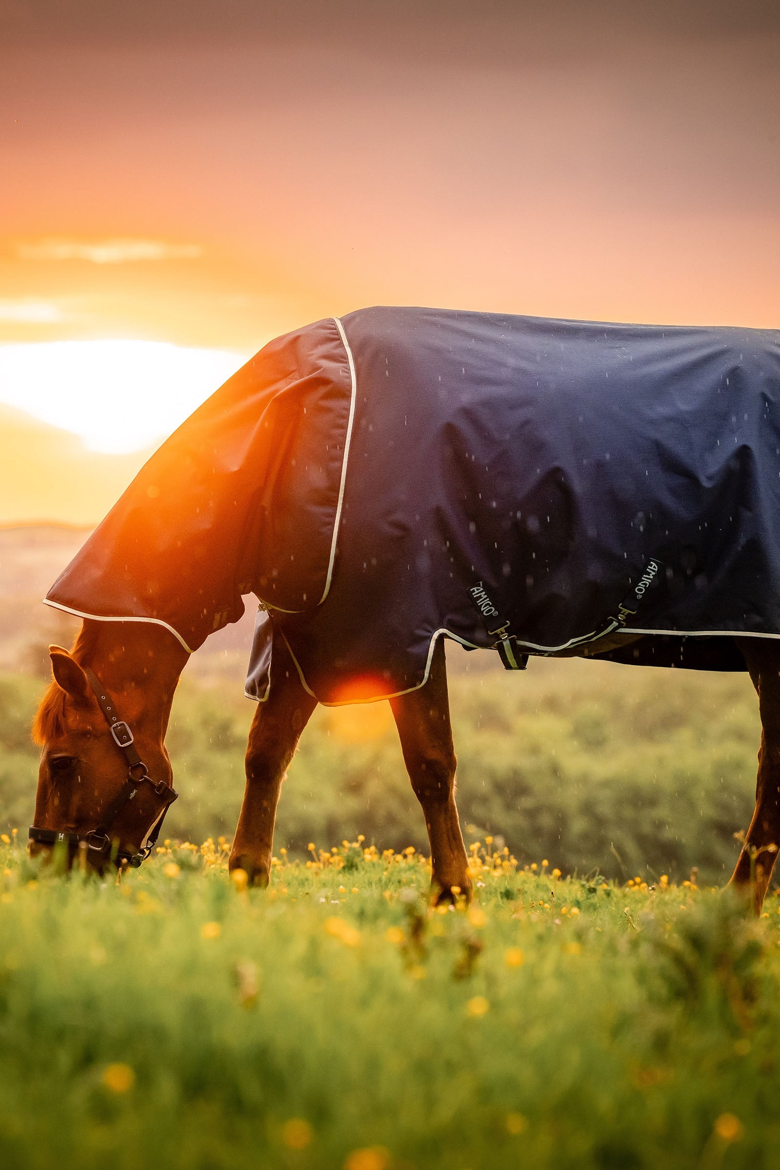 Horseware Amigo Ripstop 900D Plus Turnout Rug, 100 g Horse Rugs