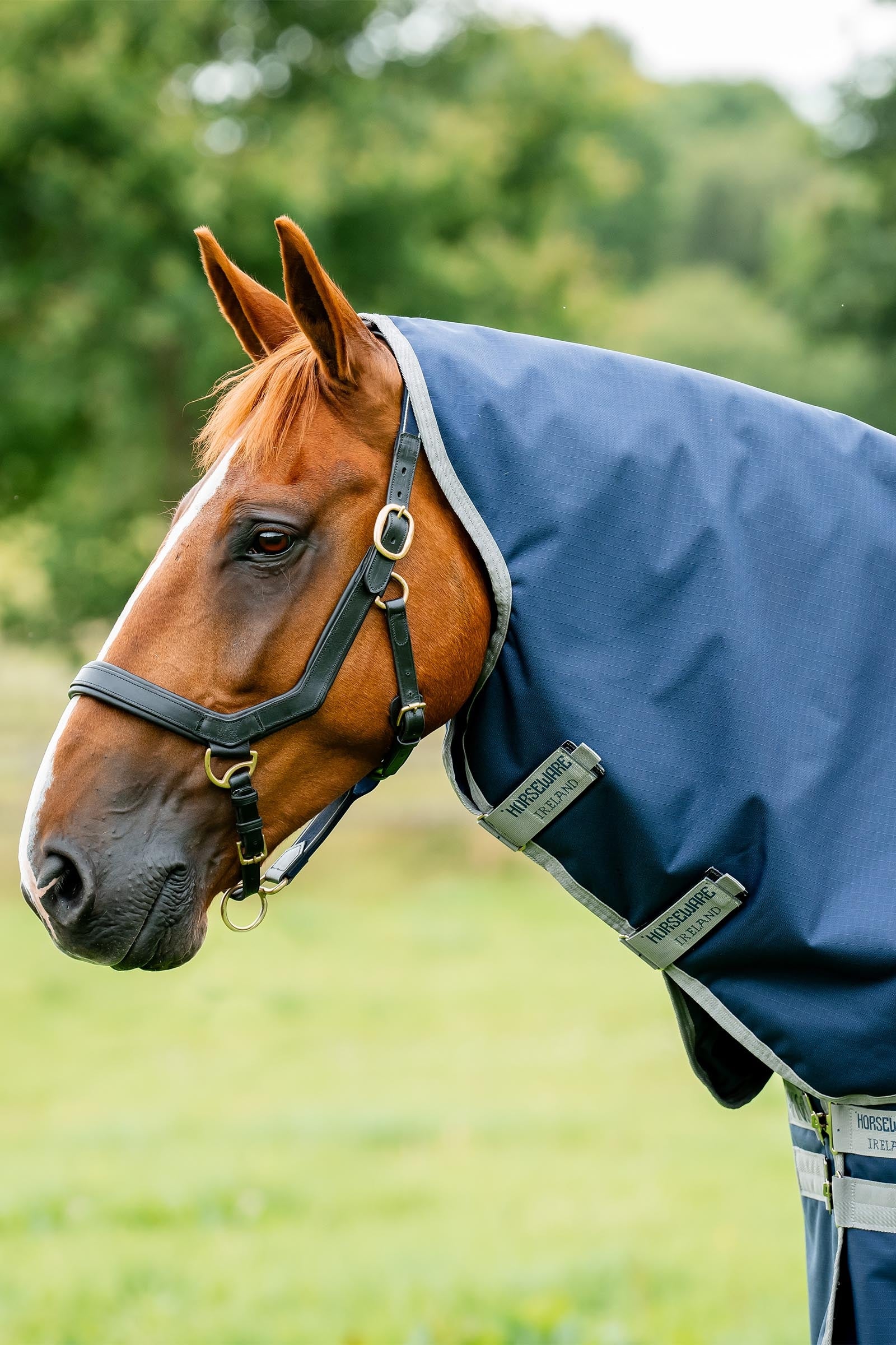 Horseware Amigo Ripstop 900D Plus Turnout Rug, 100 g Horse Rugs