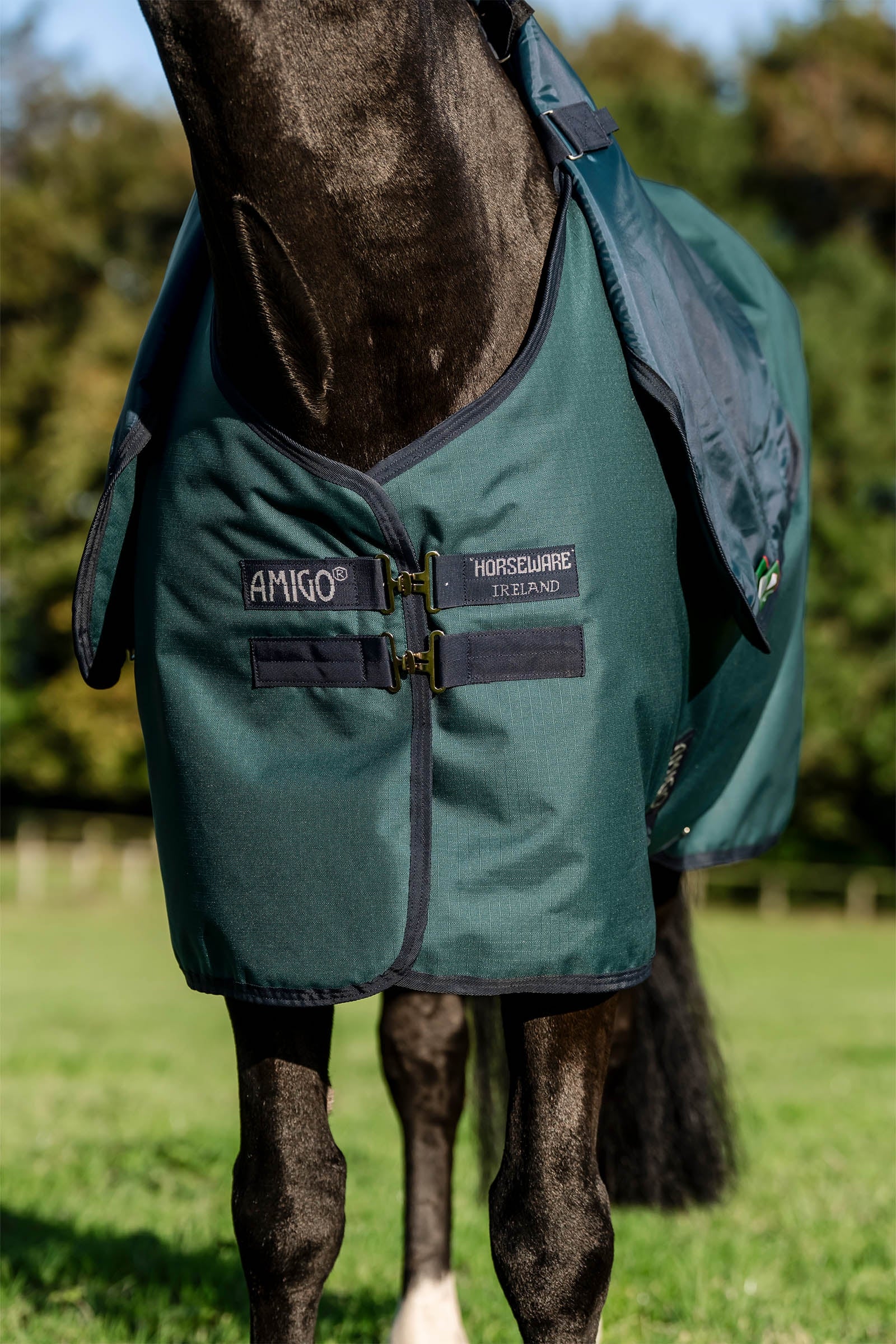 Horseware Amigo Ripstop 900D Plus Turnout Rug, 100 g Horse Rugs