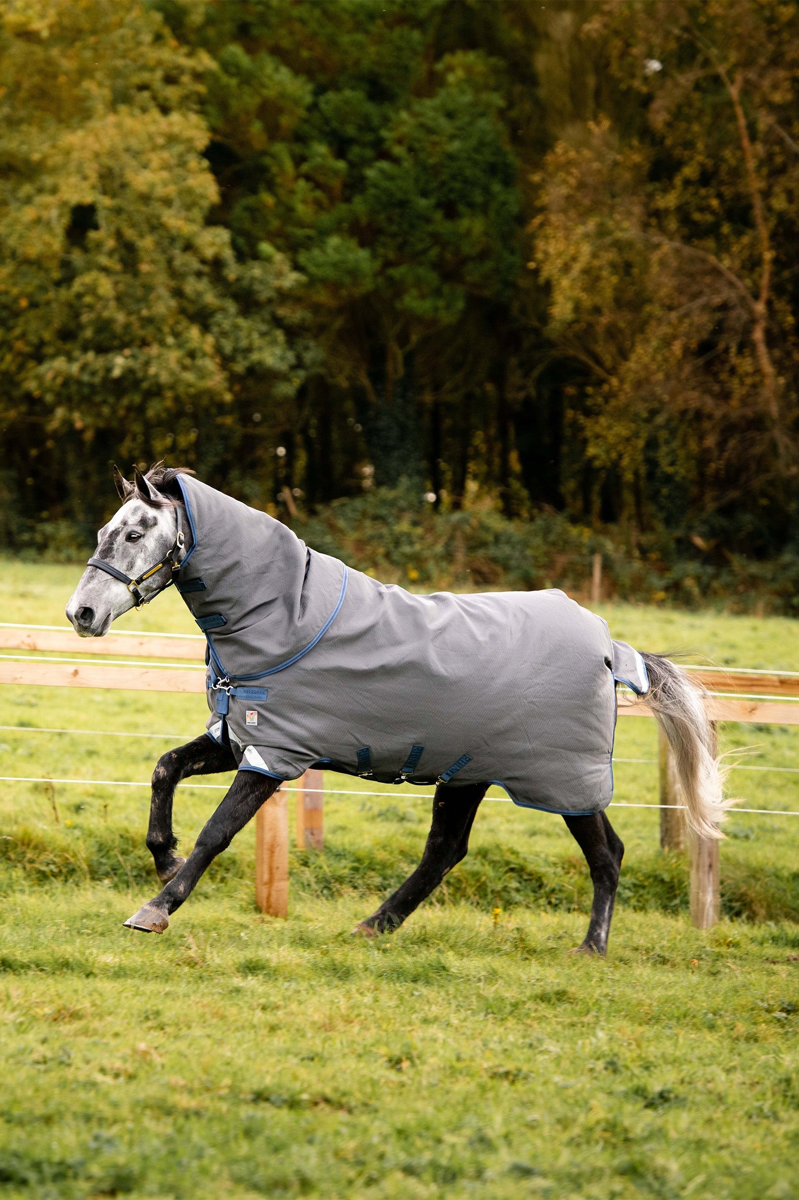 Horseware Rhino Plus HexSTOP Vari-Layer Betesfilt, 100g Hästtäcken