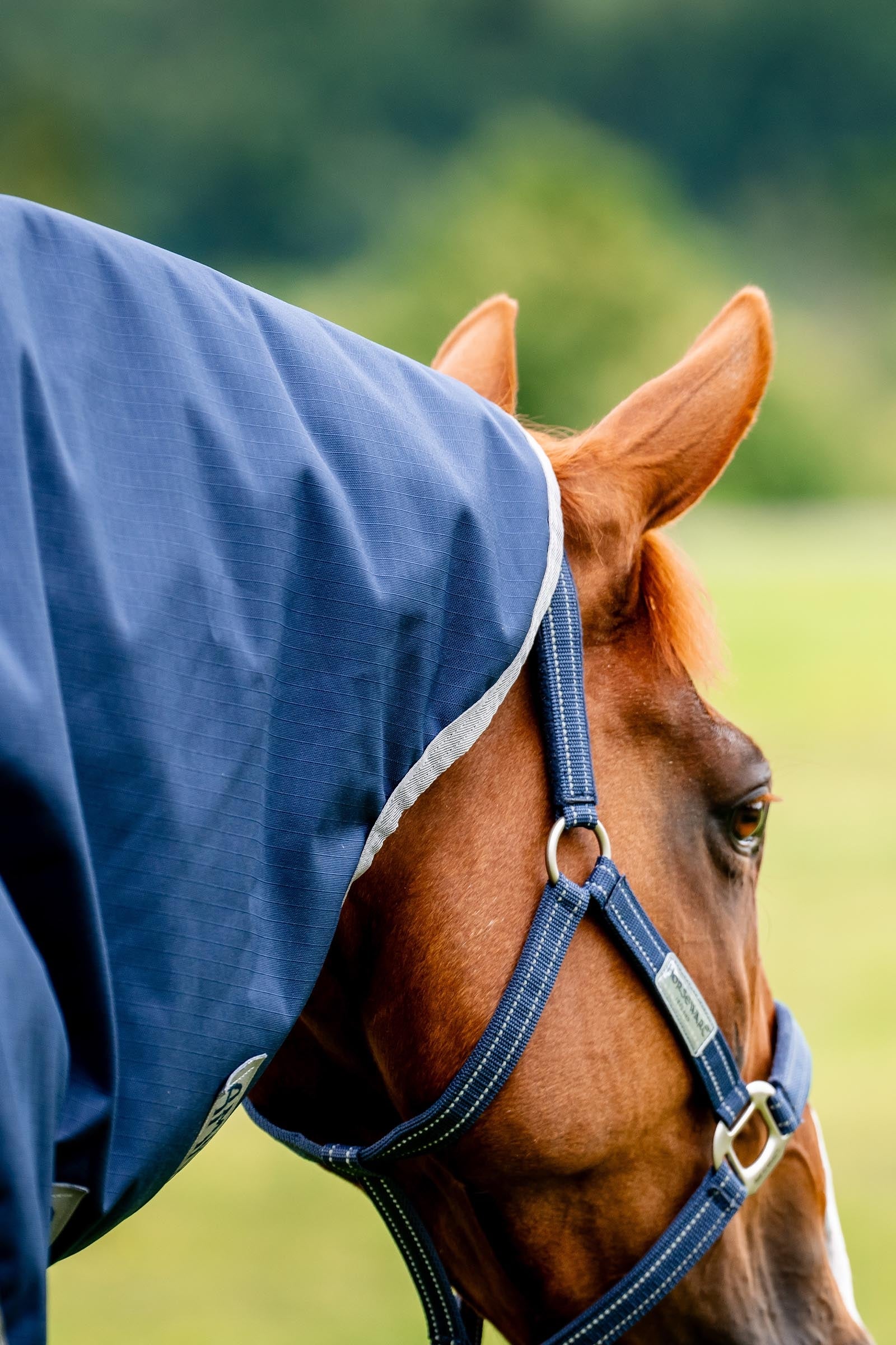 Horseware Amigo Ripstop 900D Plus Turnout Rug With Detachable Neck, 0 g Horse Rugs