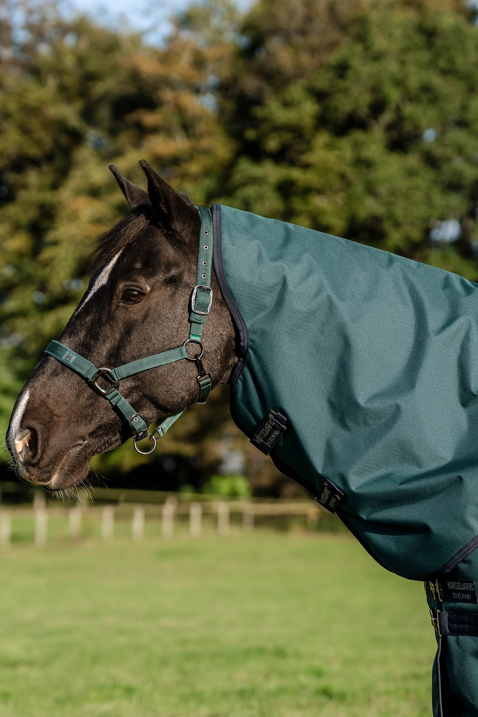 Horseware Amigo Ripstop 900D Plus Turnout Rug With Detachable Neck, 0 g Horse Rugs